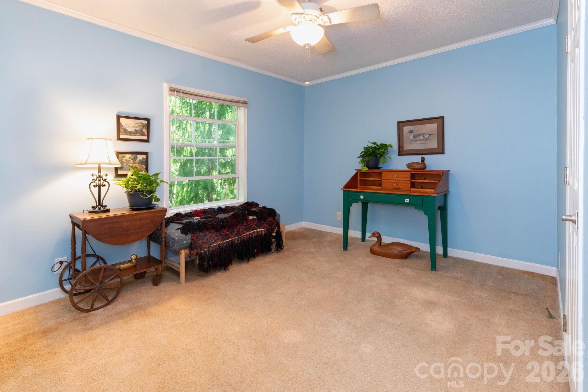 159 Marcellina Drive Property Photo 17