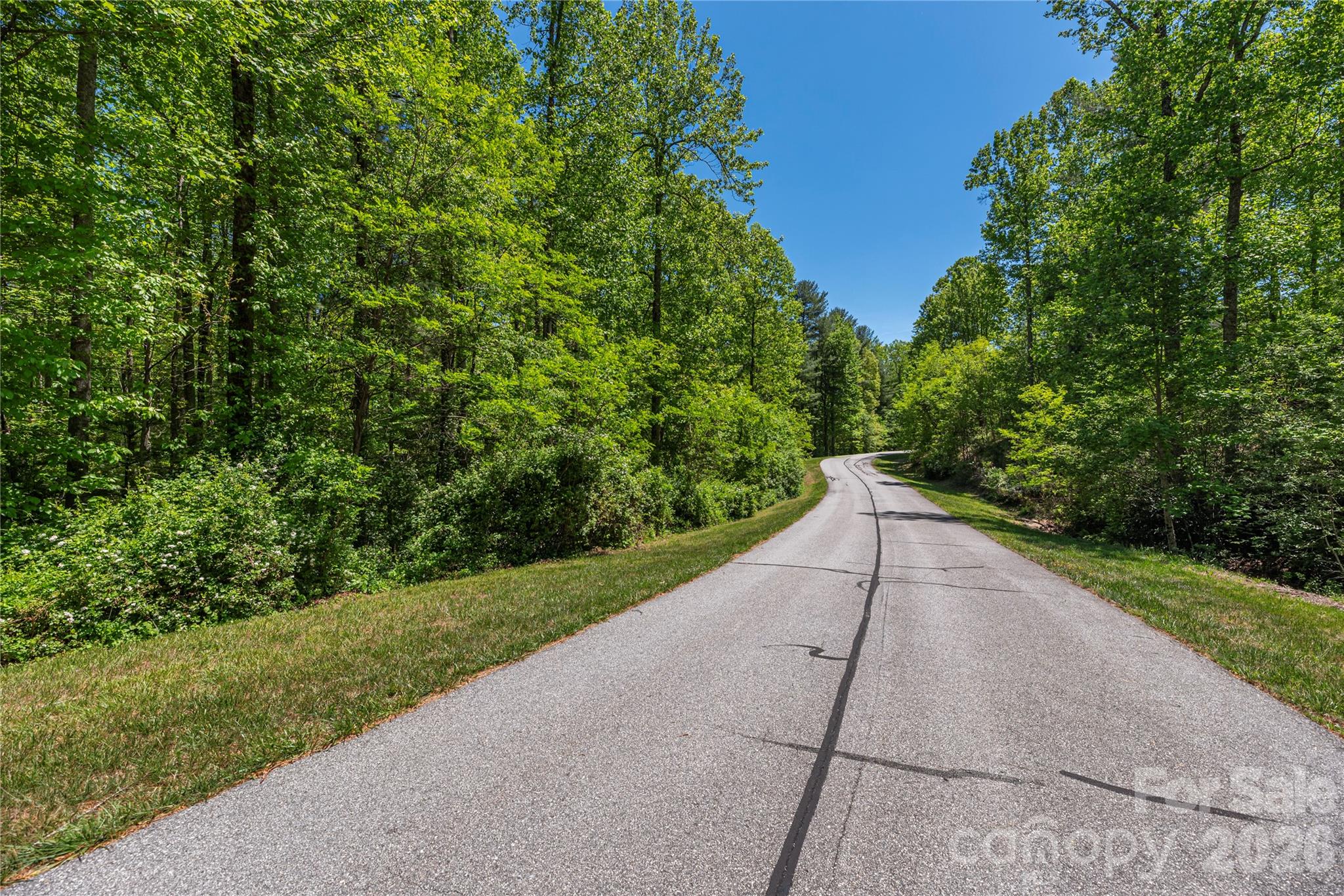 305 Freedom Trail Court Property Photo 6