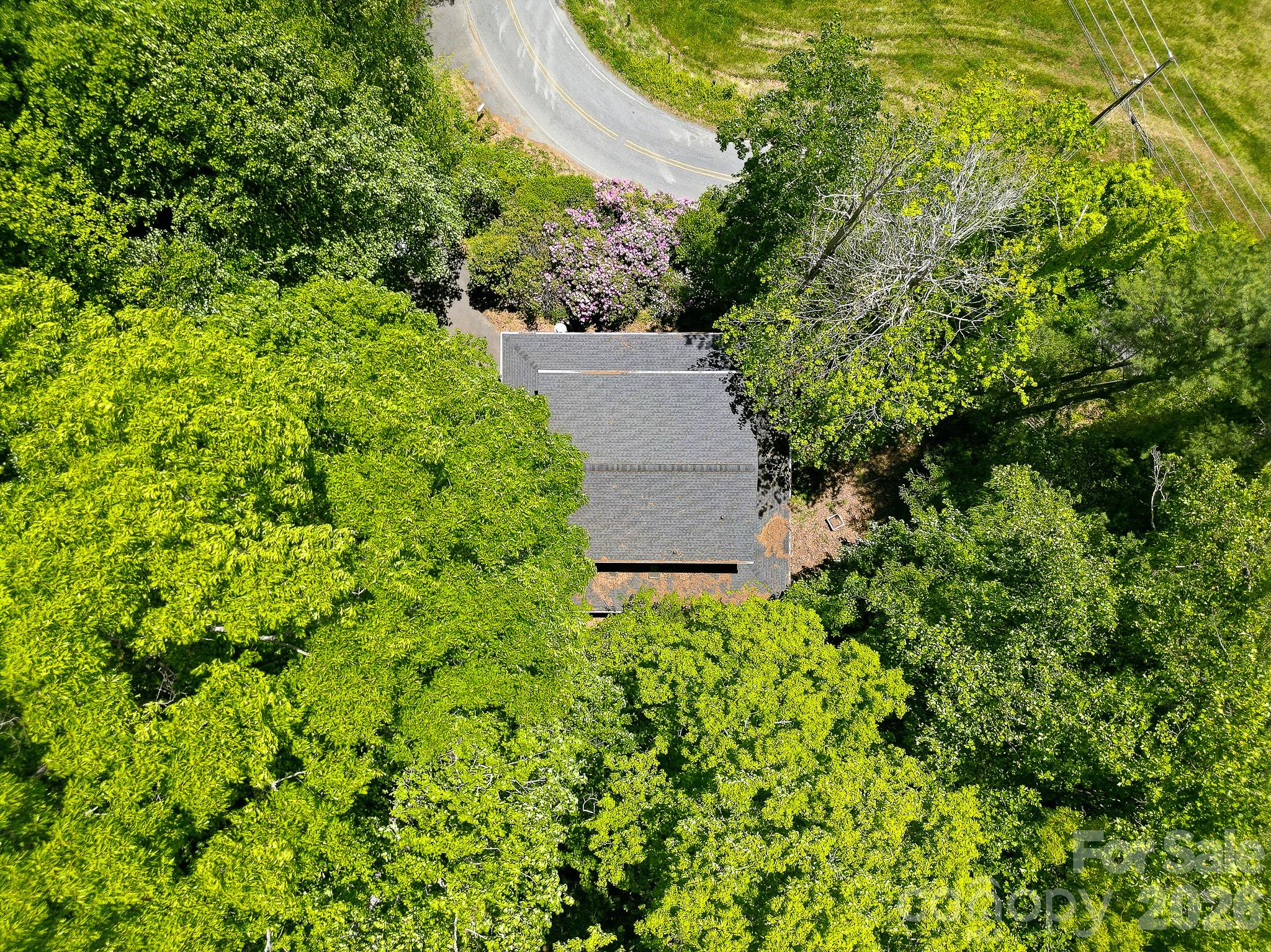 2131 Coleman Mountain Road 7 Property Photo 17