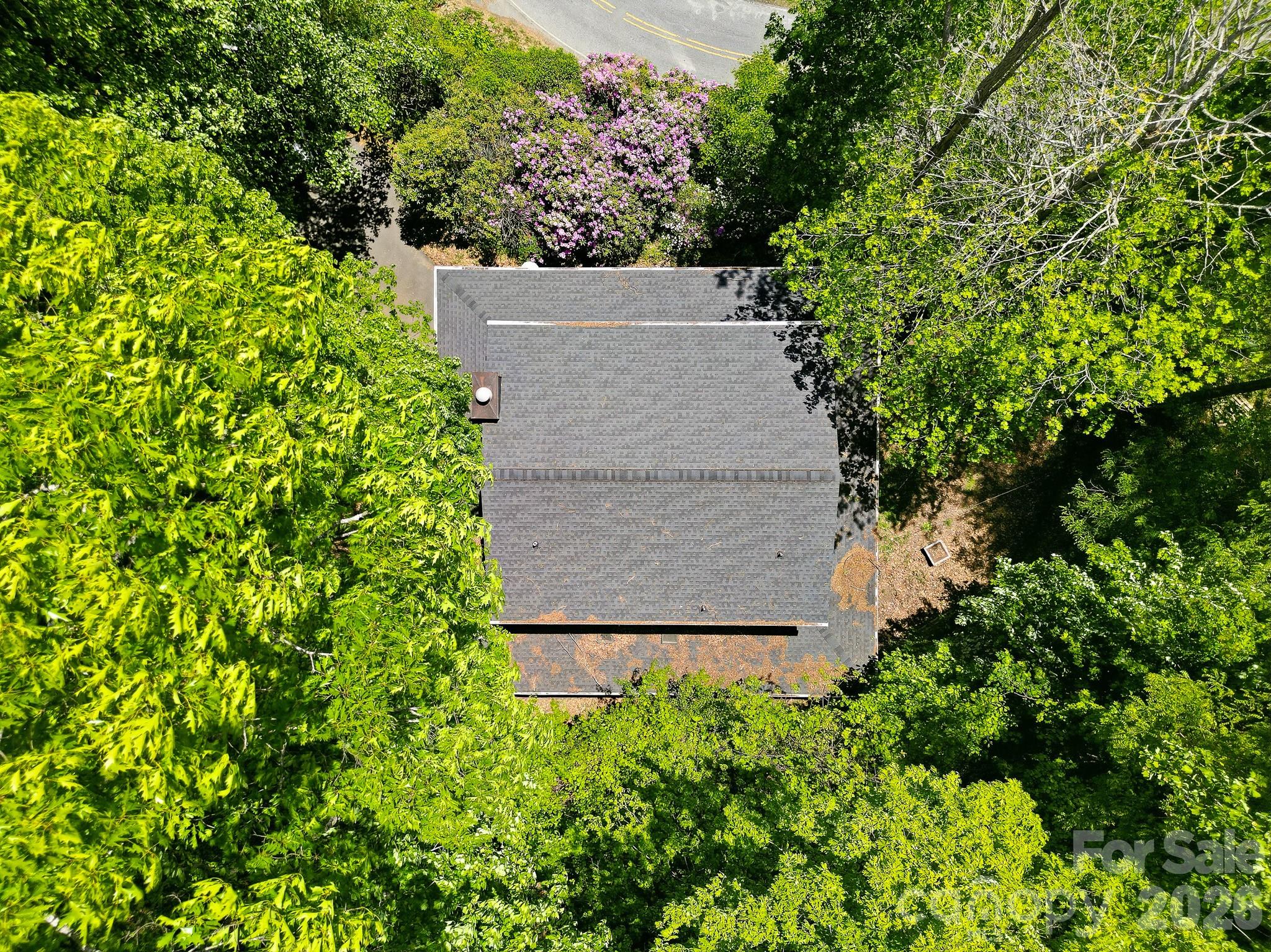 2131 Coleman Mountain Road 7 Property Photo 39
