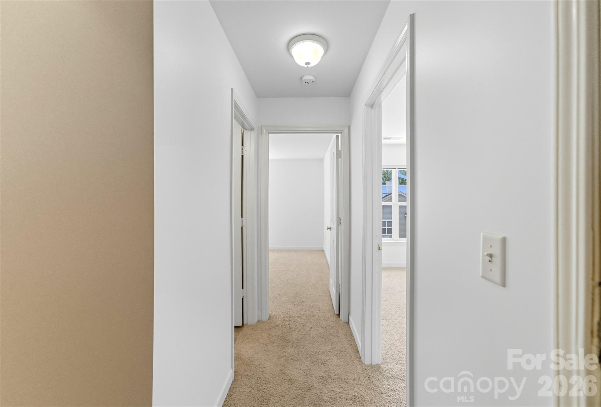 11959 Ridgeway Park Drive Property Photo 16