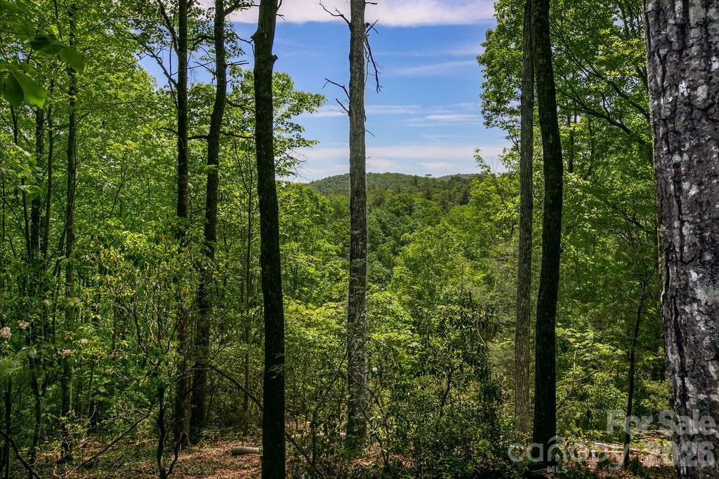 Tbd Diamond Creek Road Property Photo 1