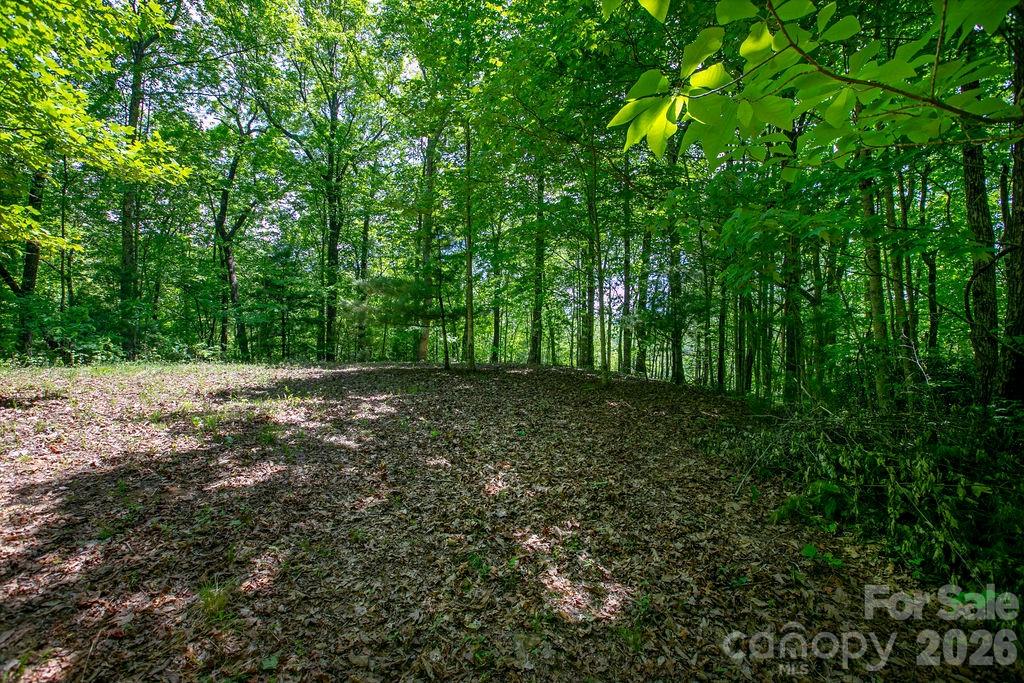 Tbd Diamond Creek Road Property Photo 3