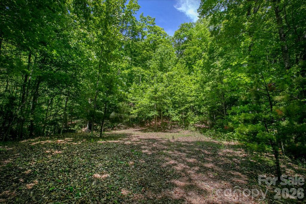 Tbd Diamond Creek Road Property Photo 4