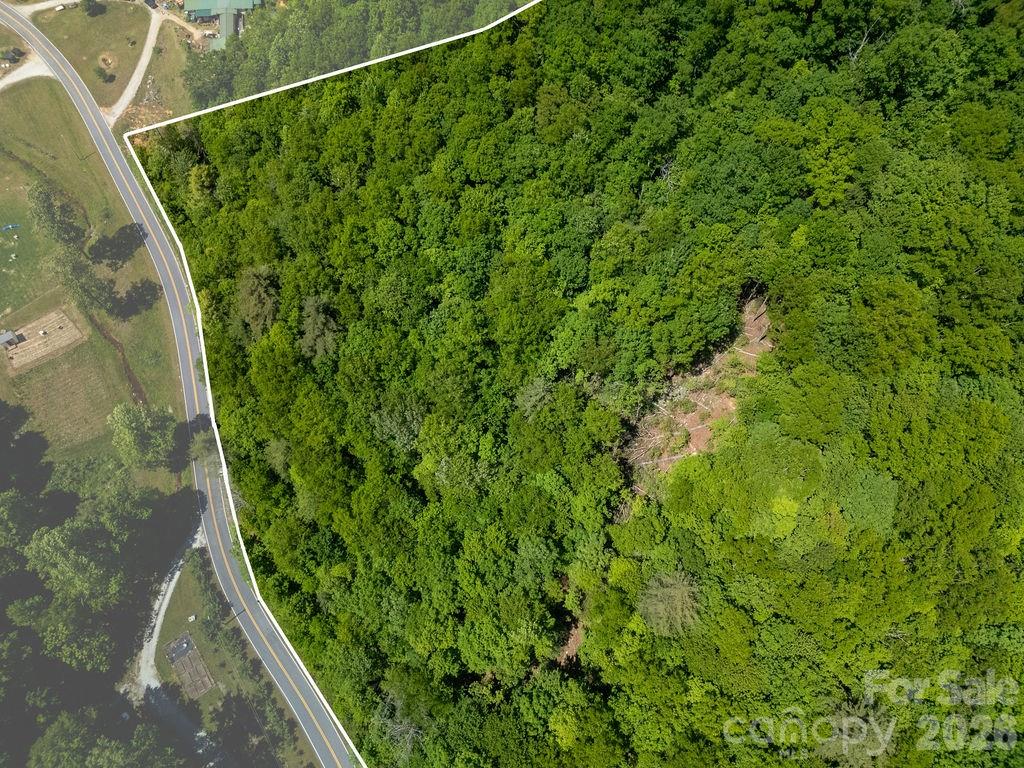 Tbd Diamond Creek Road Property Photo 9