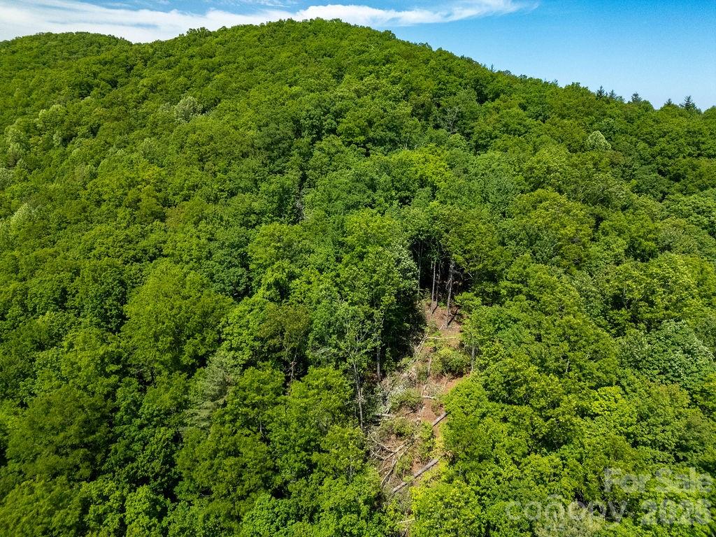 Tbd Diamond Creek Road Property Photo 11