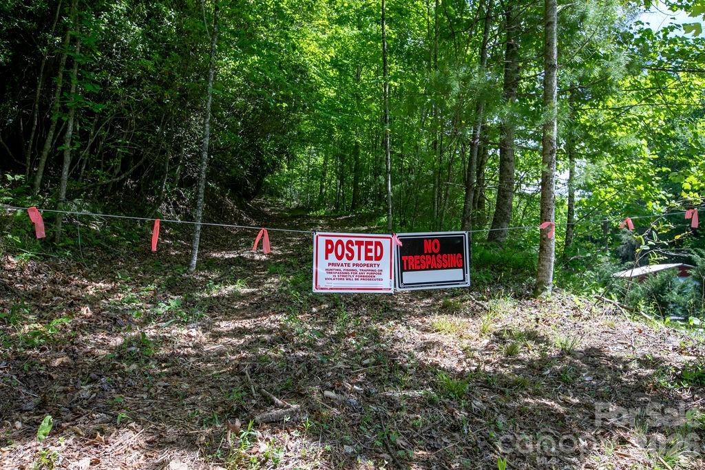 Tbd Diamond Creek Road Property Photo 13