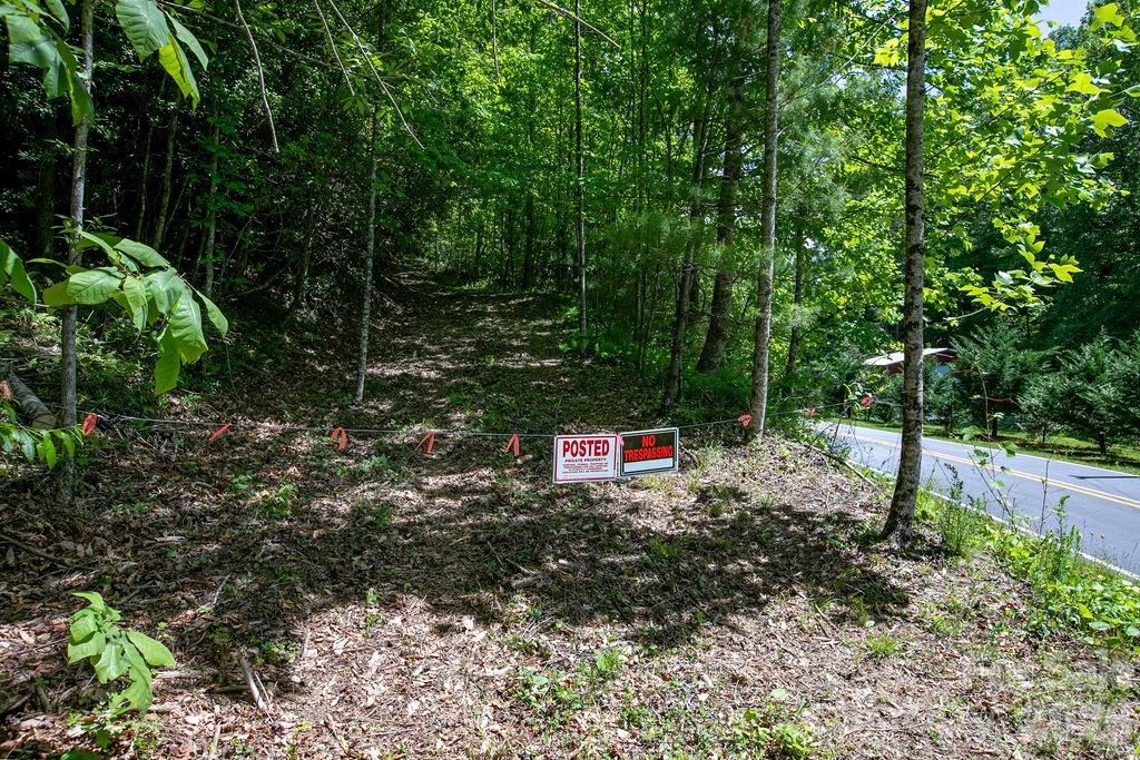 Tbd Diamond Creek Road Property Photo 14