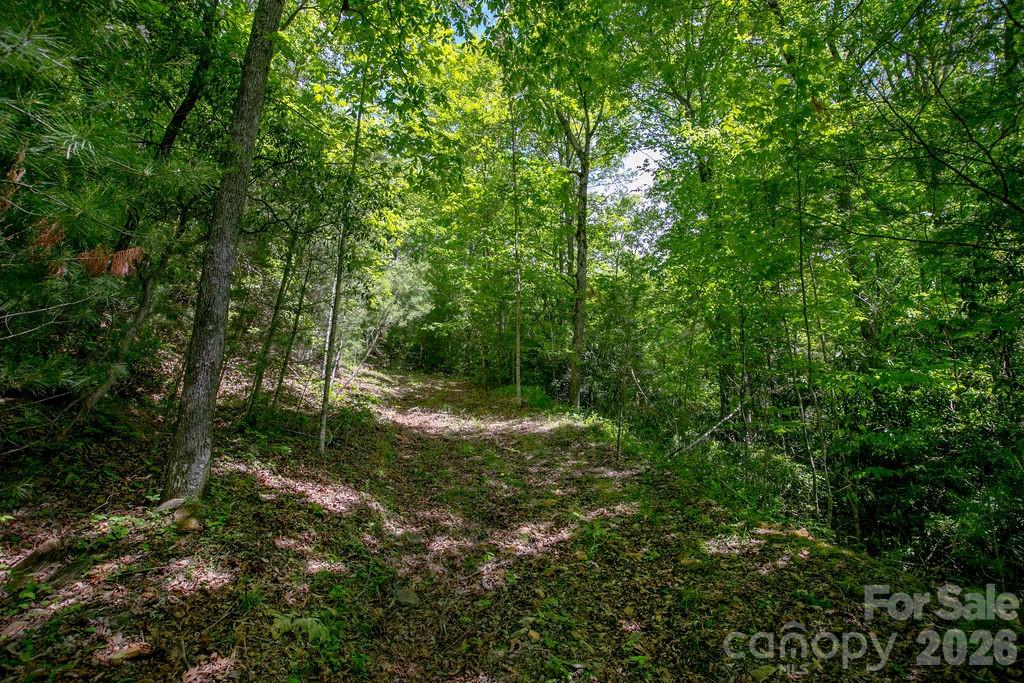Tbd Diamond Creek Road Property Photo 15