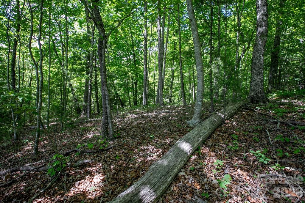 Tbd Diamond Creek Road Property Photo 16