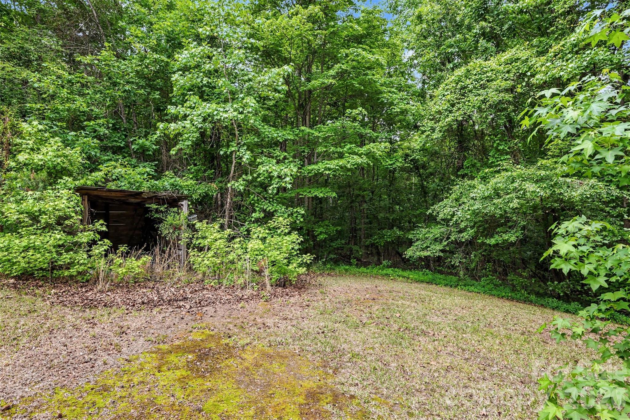 5401 Flat Creek Road Property Photo 28