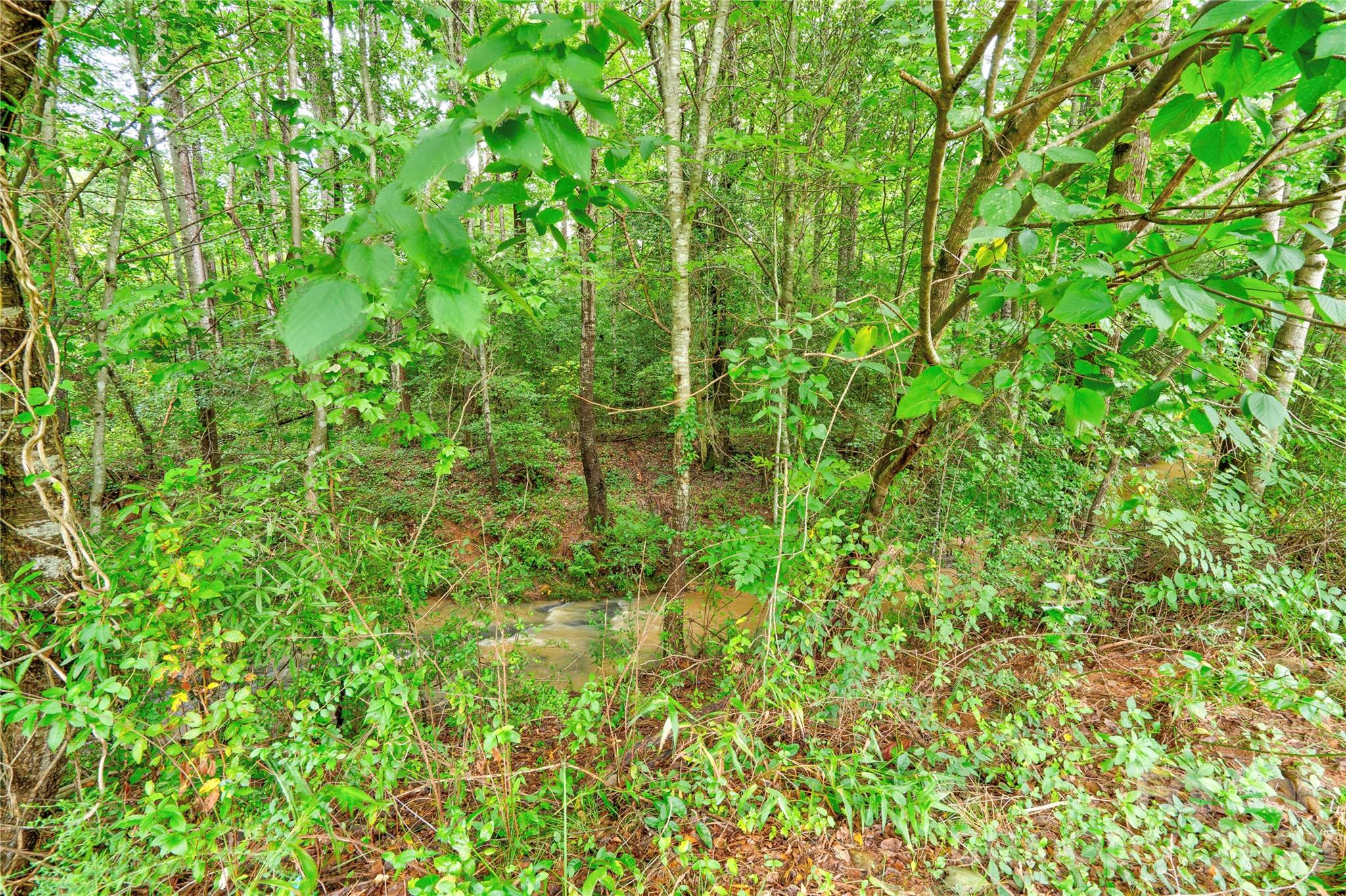 136 Foxhill Drive Property Photo 22