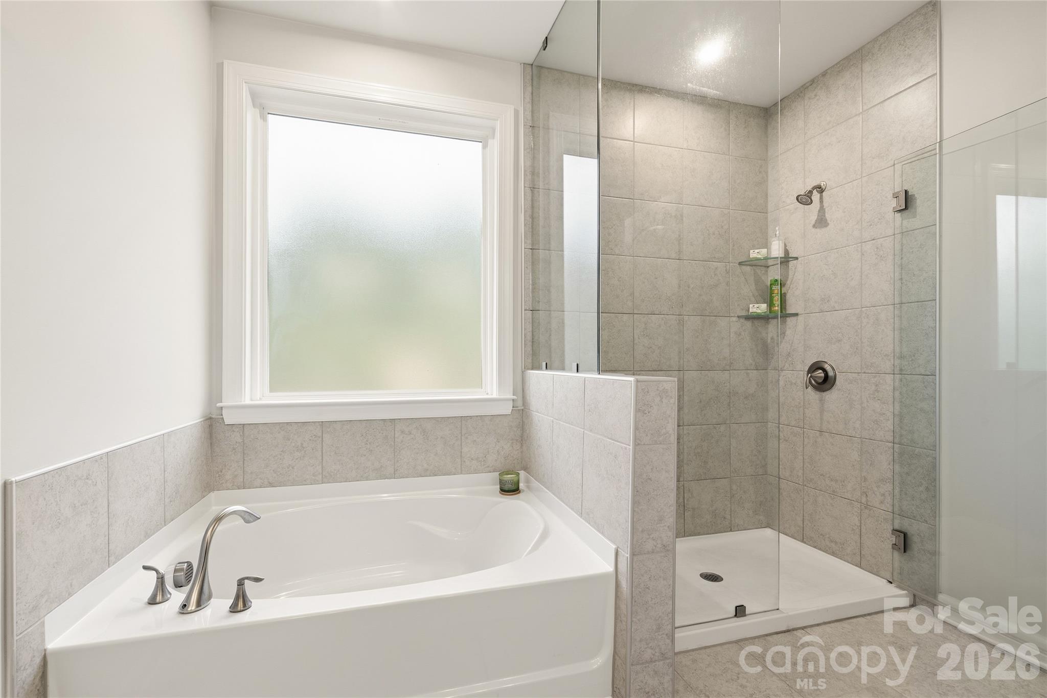 9534 Liberty Hill Drive Property Photo 17