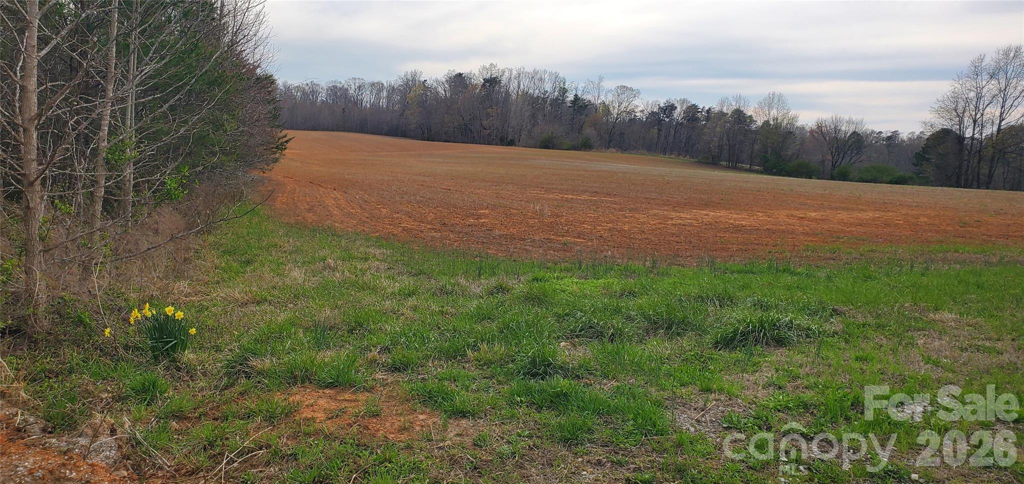 0 Sells Farm Road Property Photo 1