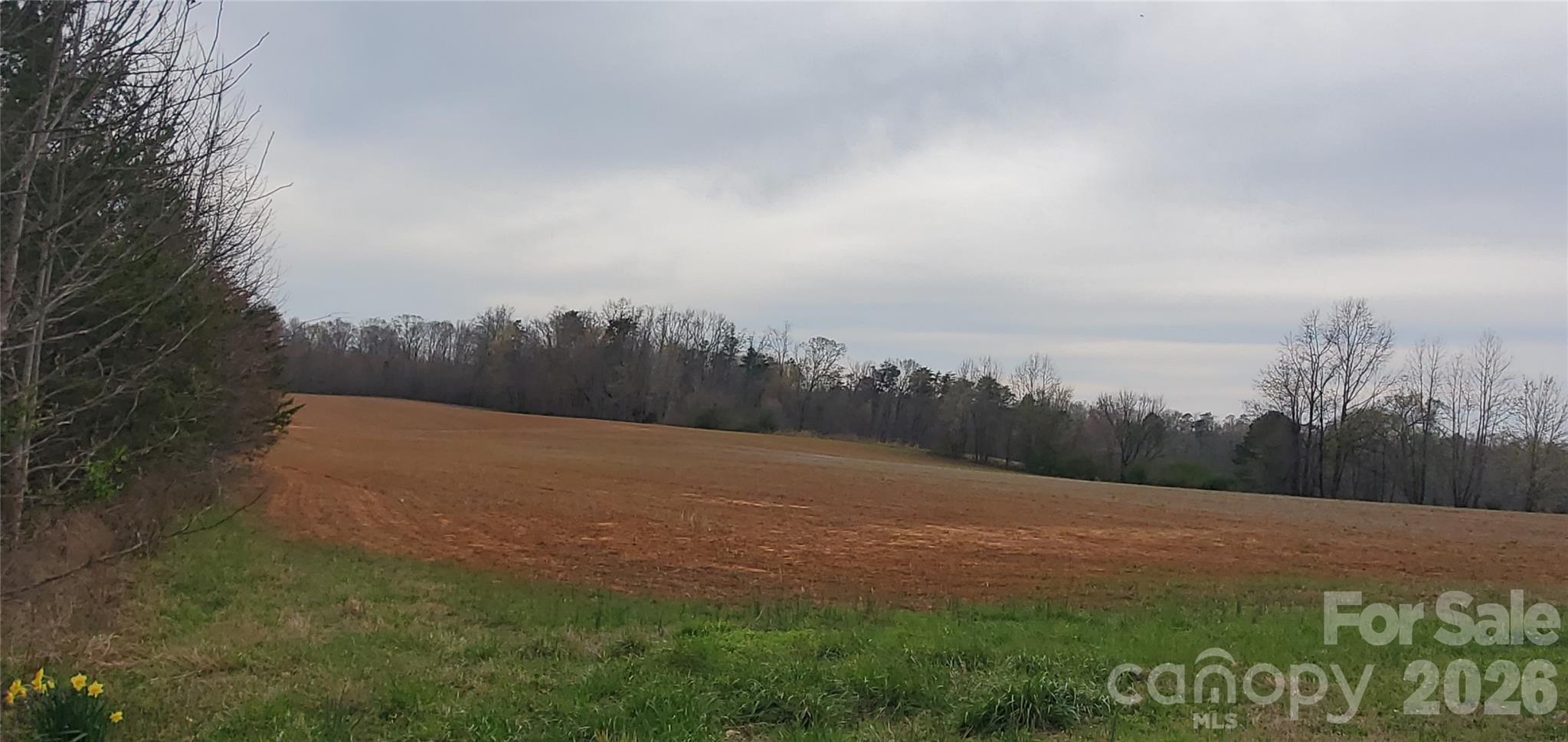0 Sells Farm Road Property Photo 2