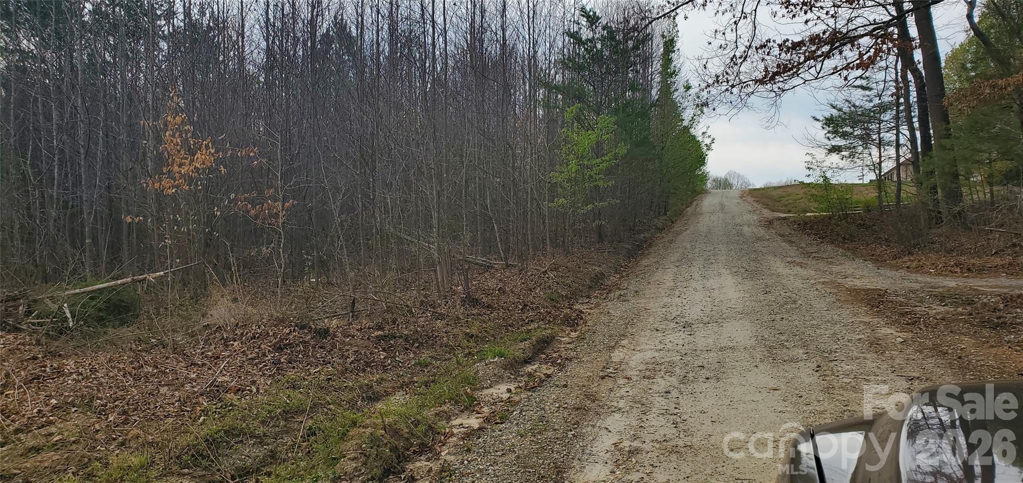 0 Sells Farm Road Property Photo 4