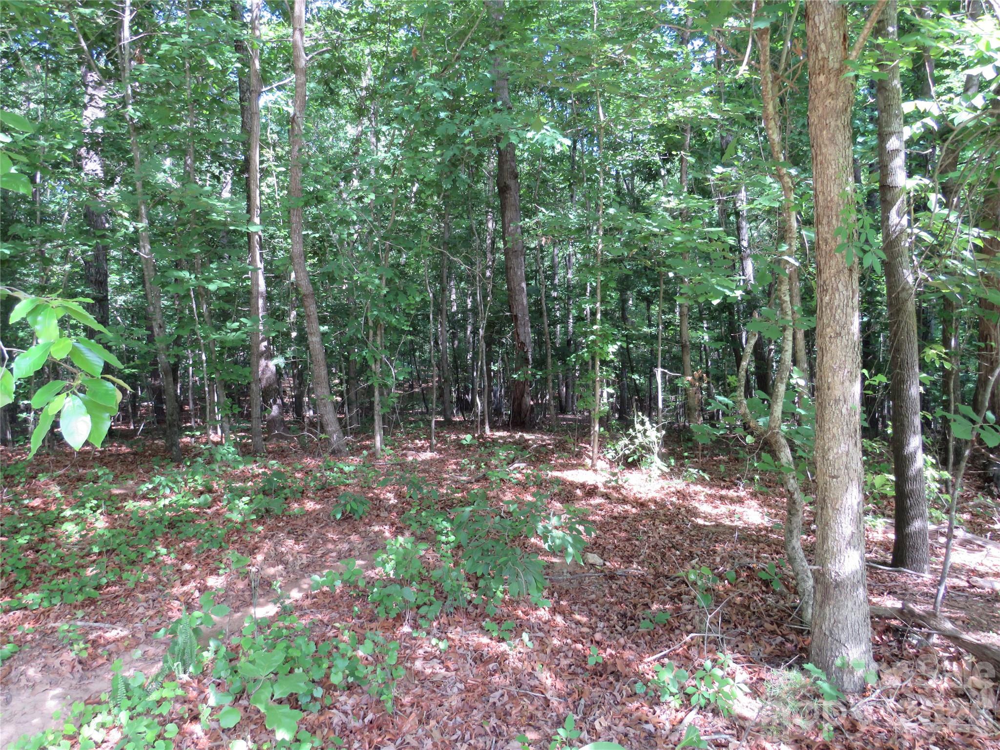 0 S Woodleaf Road Property Photo 1