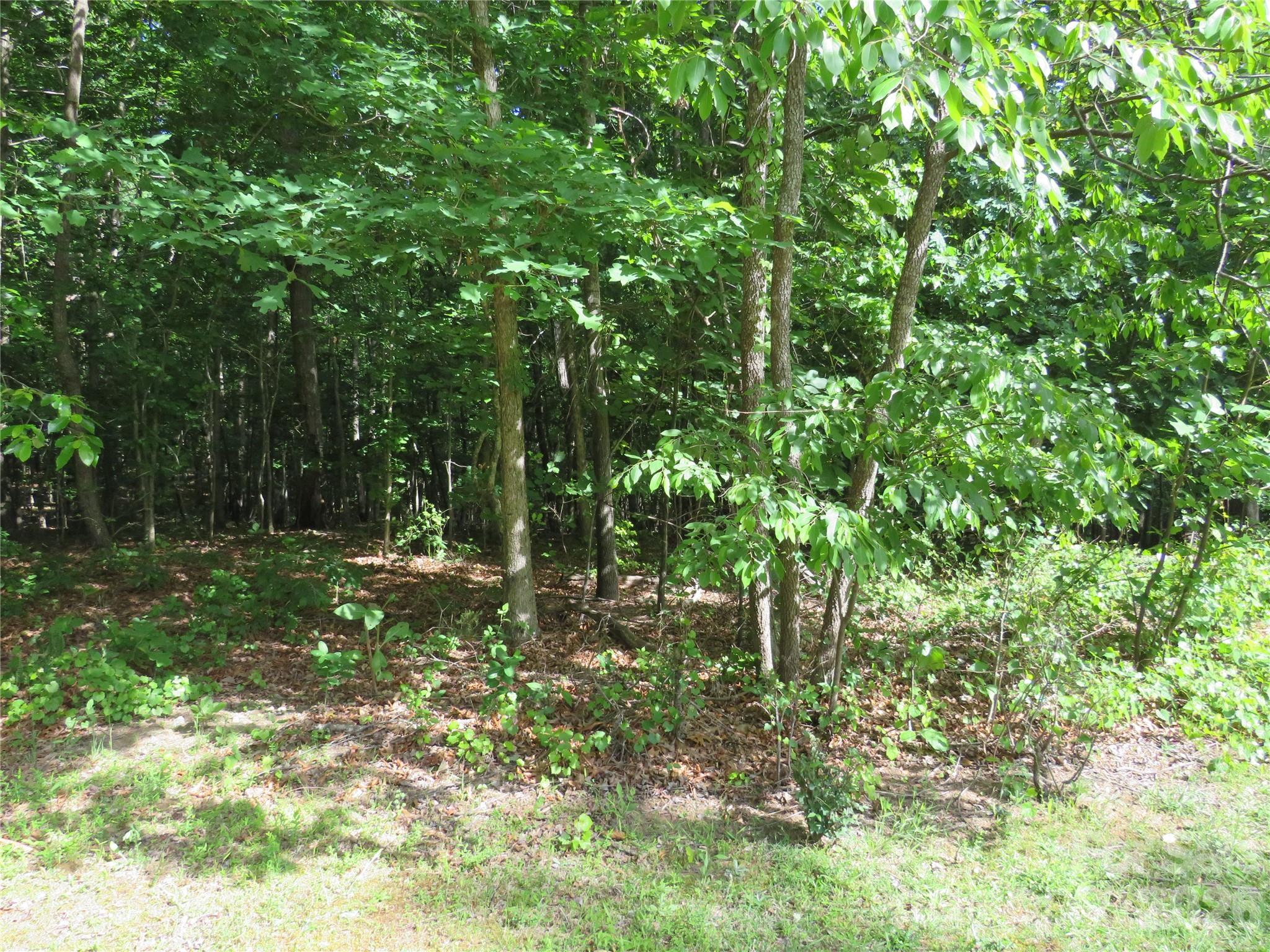 0 S Woodleaf Road Property Photo 2