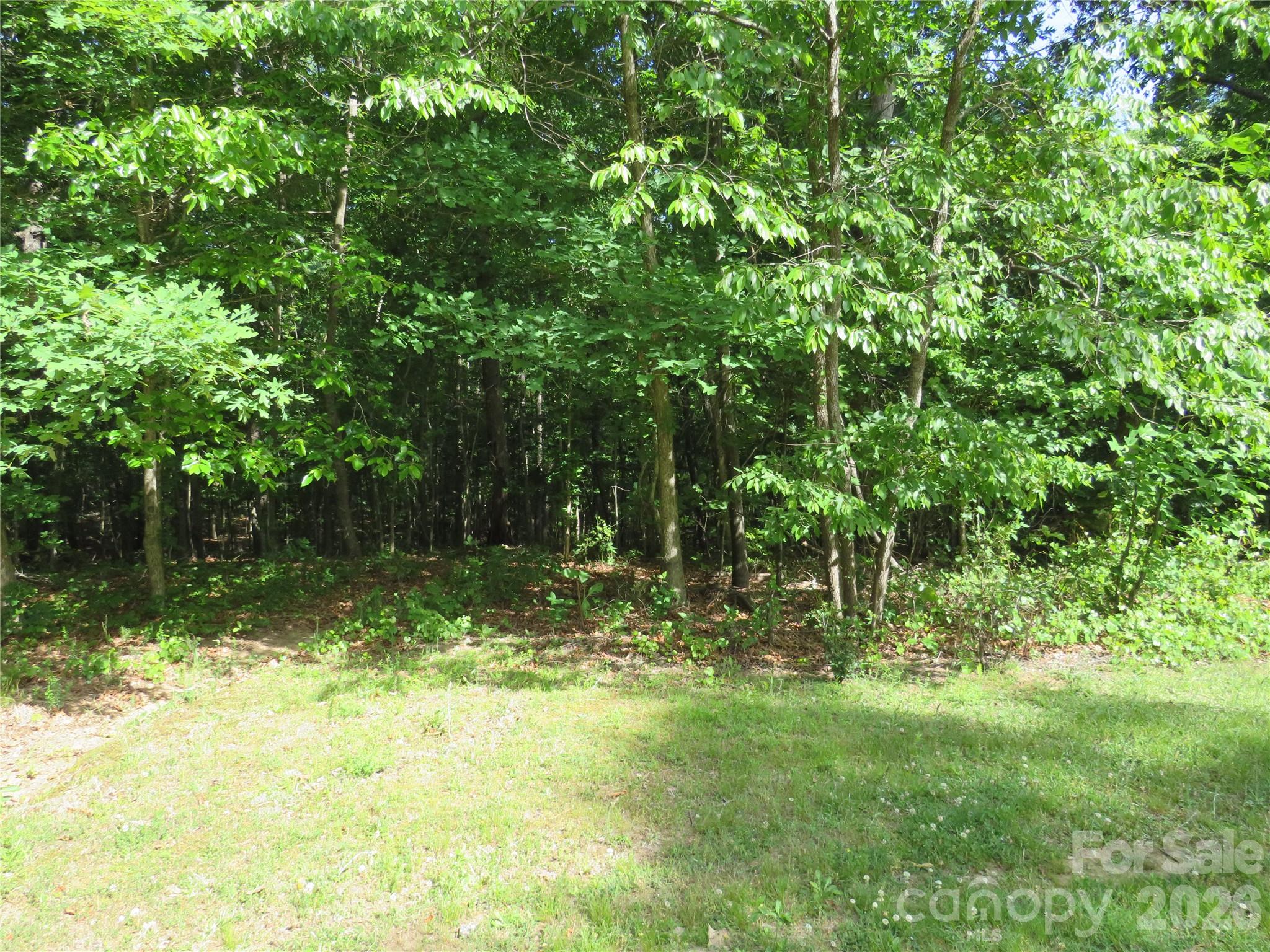 0 S Woodleaf Road Property Photo 3