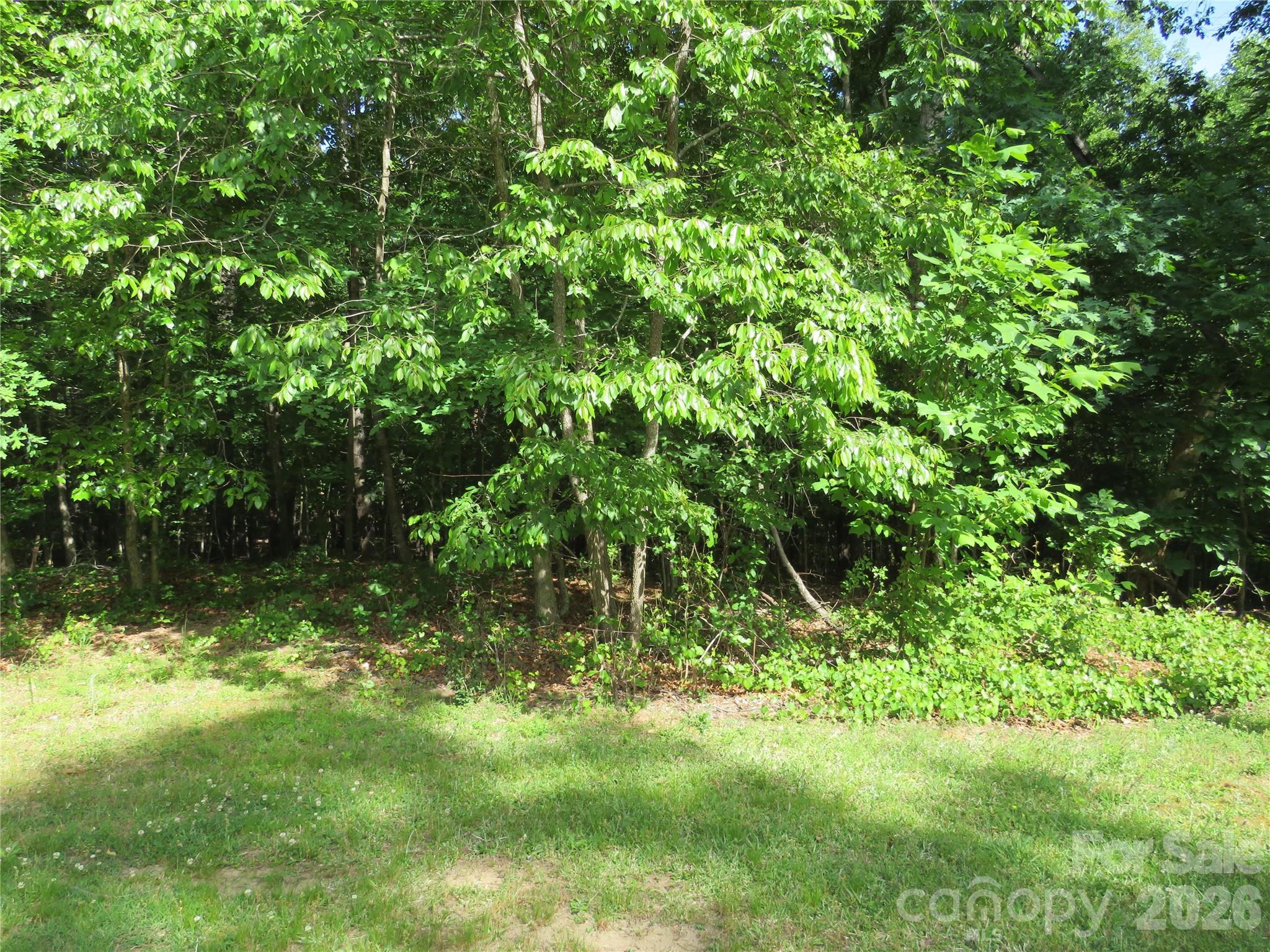 0 S Woodleaf Road Property Photo 4