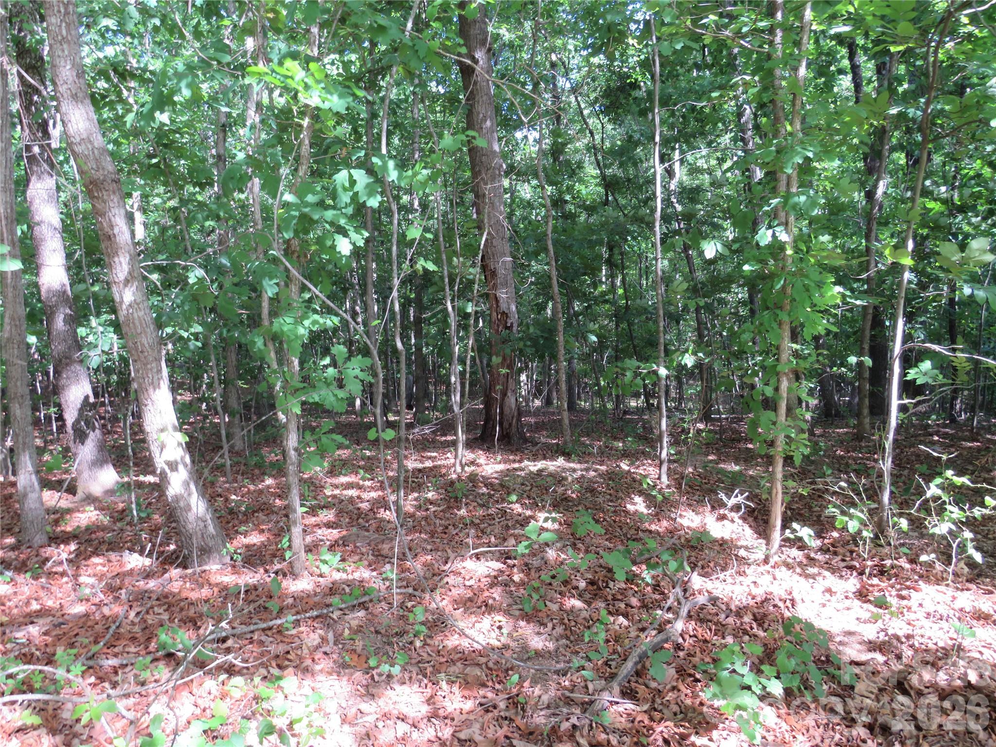 0 S Woodleaf Road Property Photo 6