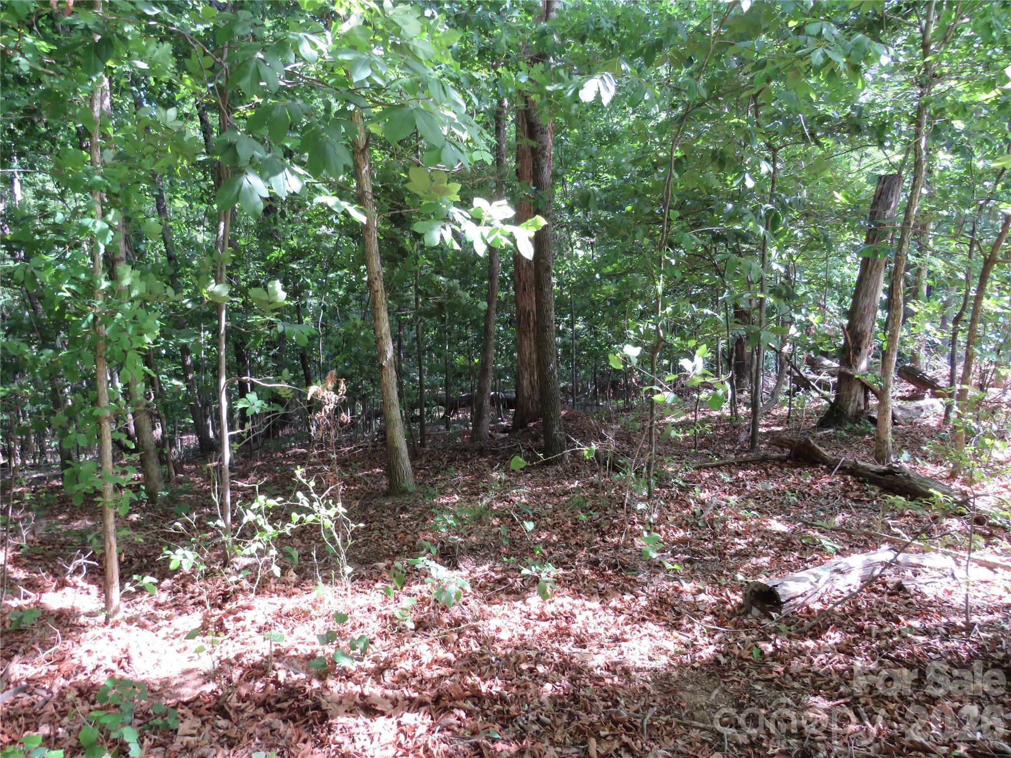 0 S Woodleaf Road Property Photo 7