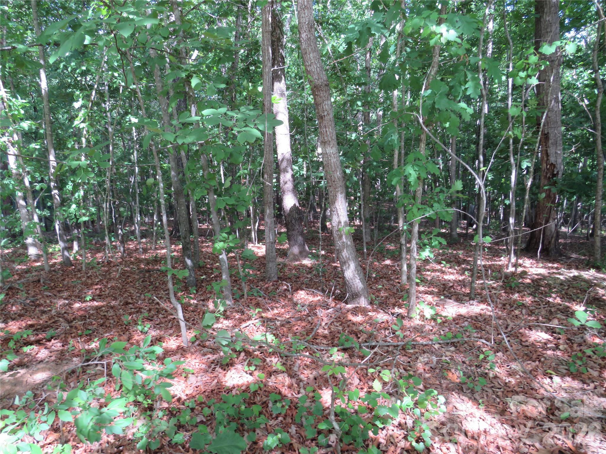 0 S Woodleaf Road Property Photo 8
