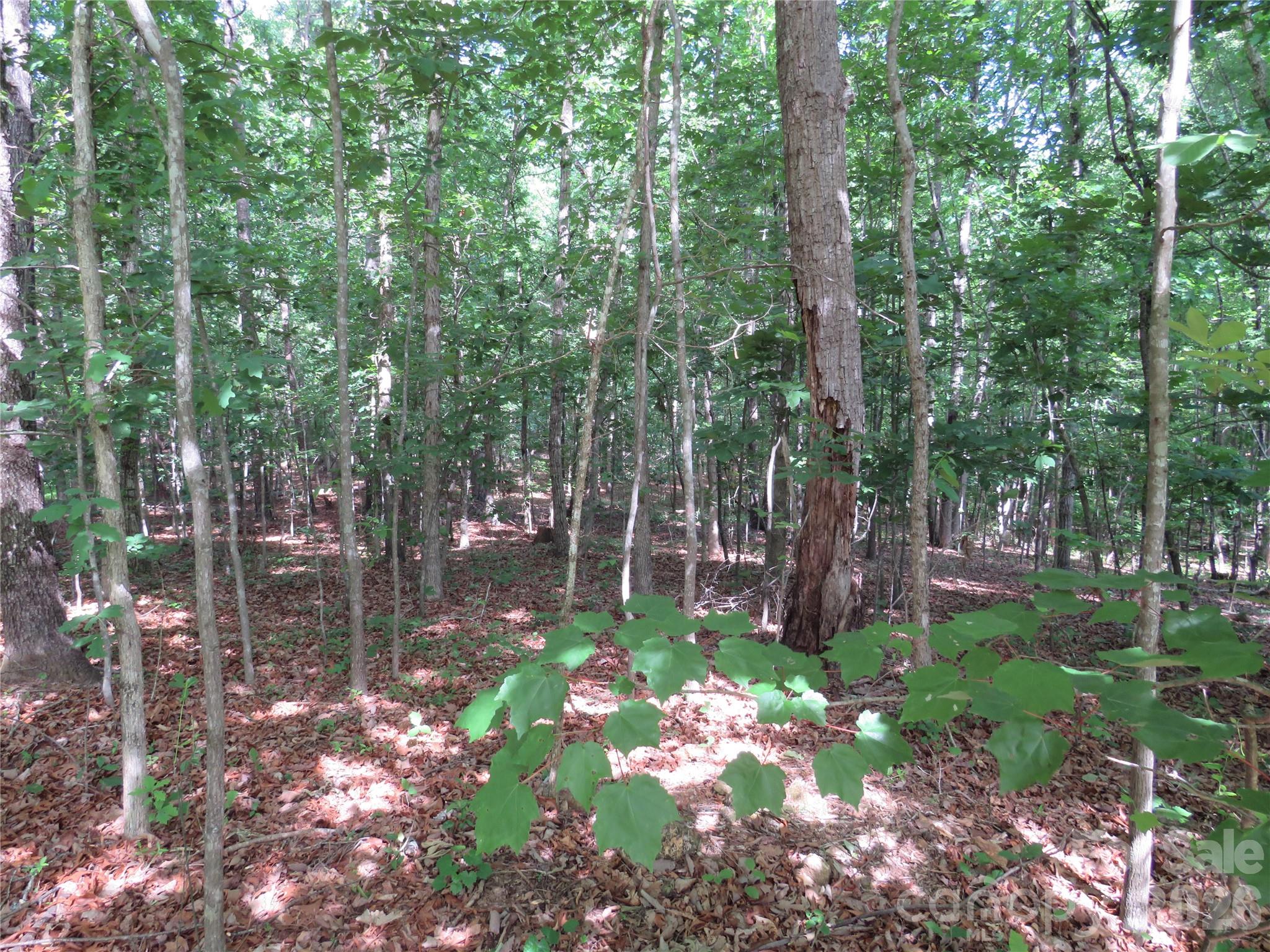 0 S Woodleaf Road Property Photo 9