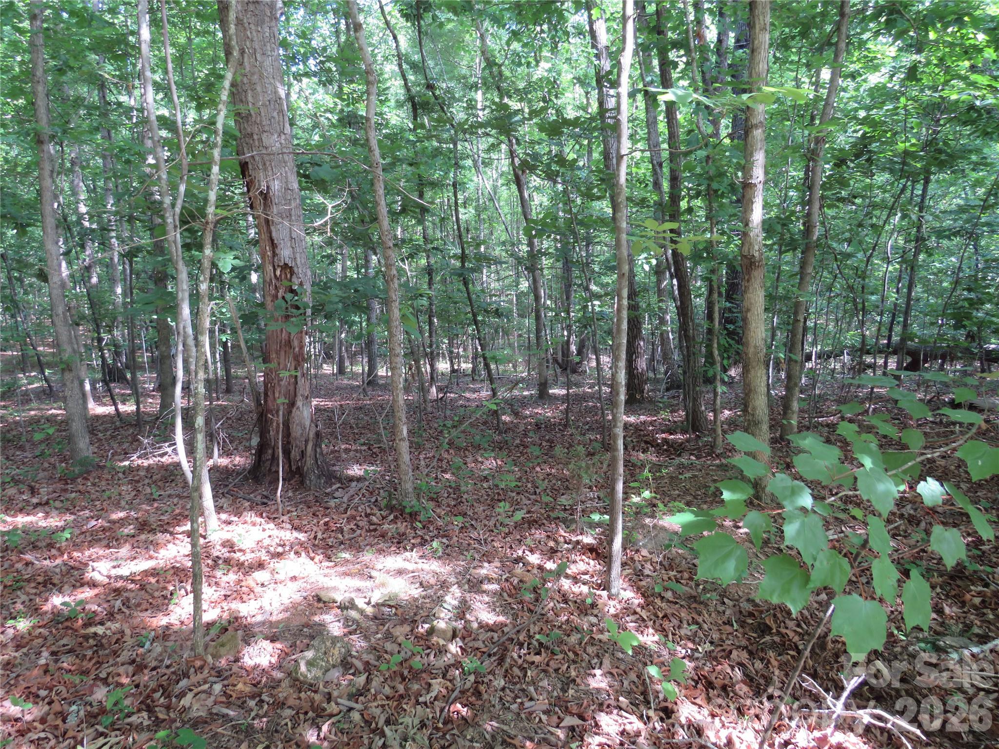 0 S Woodleaf Road Property Photo 10
