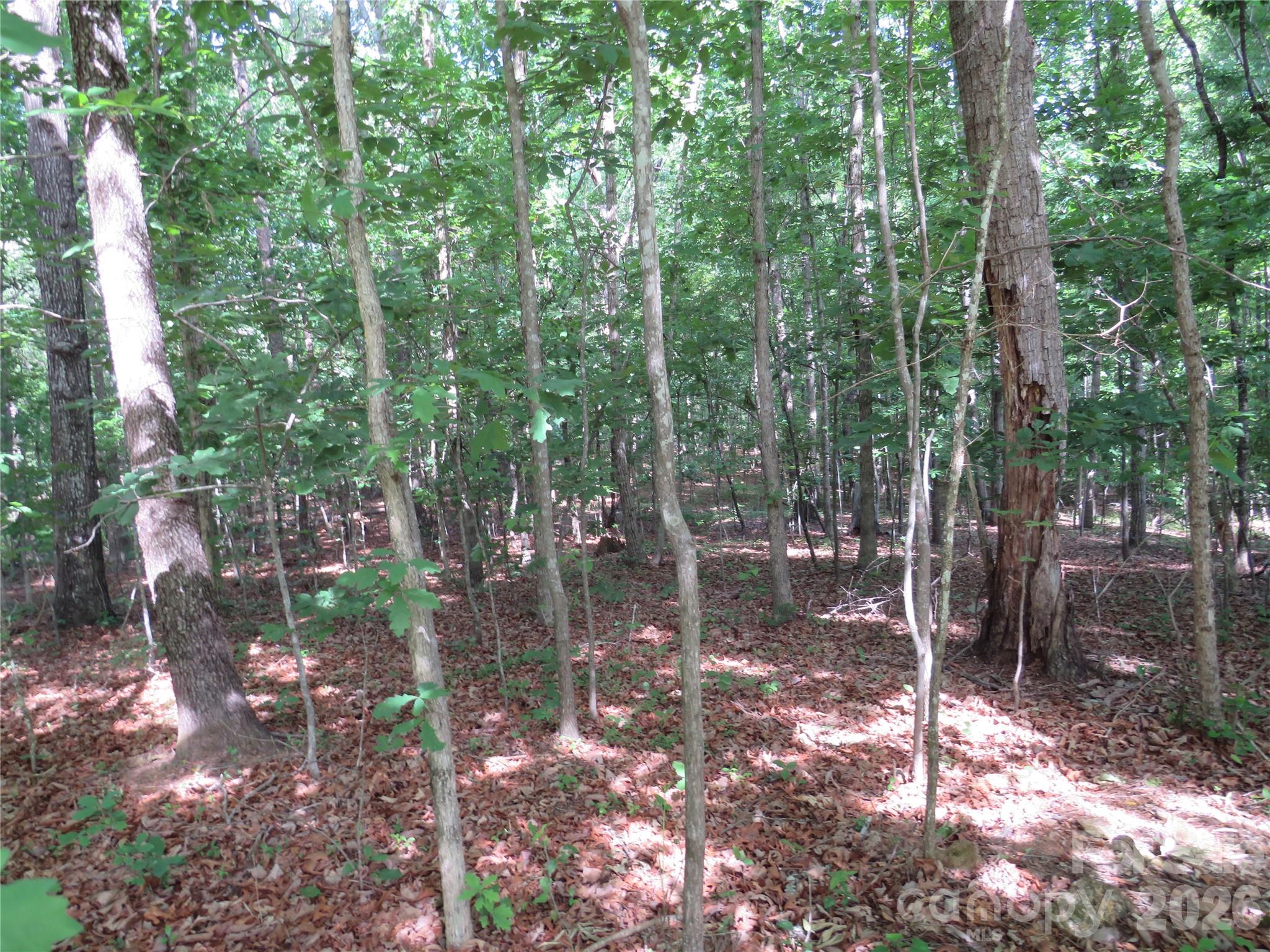 0 S Woodleaf Road Property Photo 11
