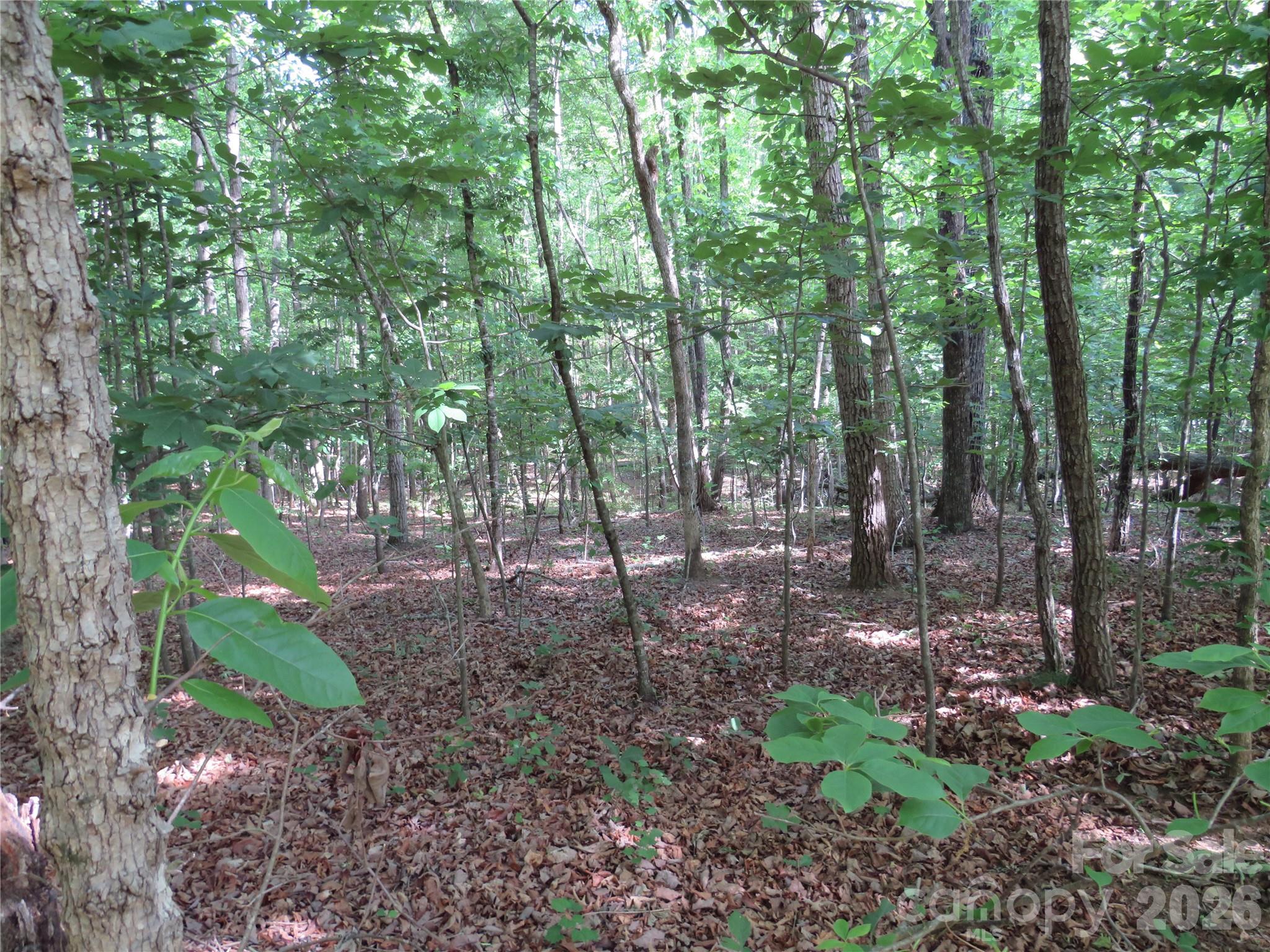 0 S Woodleaf Road Property Photo 12