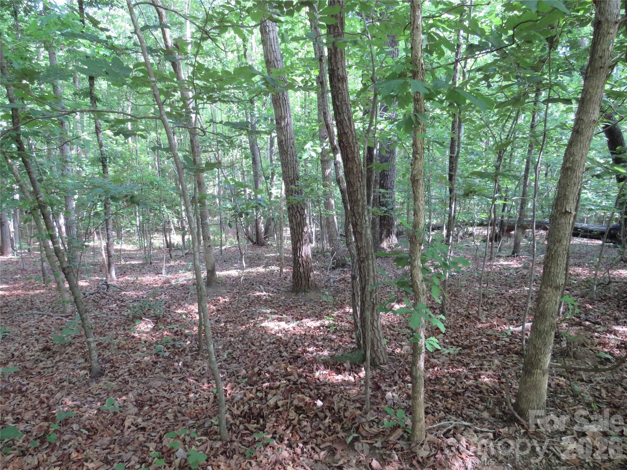0 S Woodleaf Road Property Photo 13