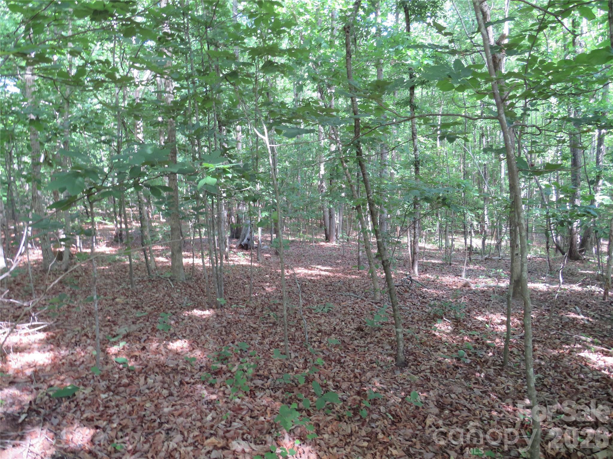 0 S Woodleaf Road Property Photo 14