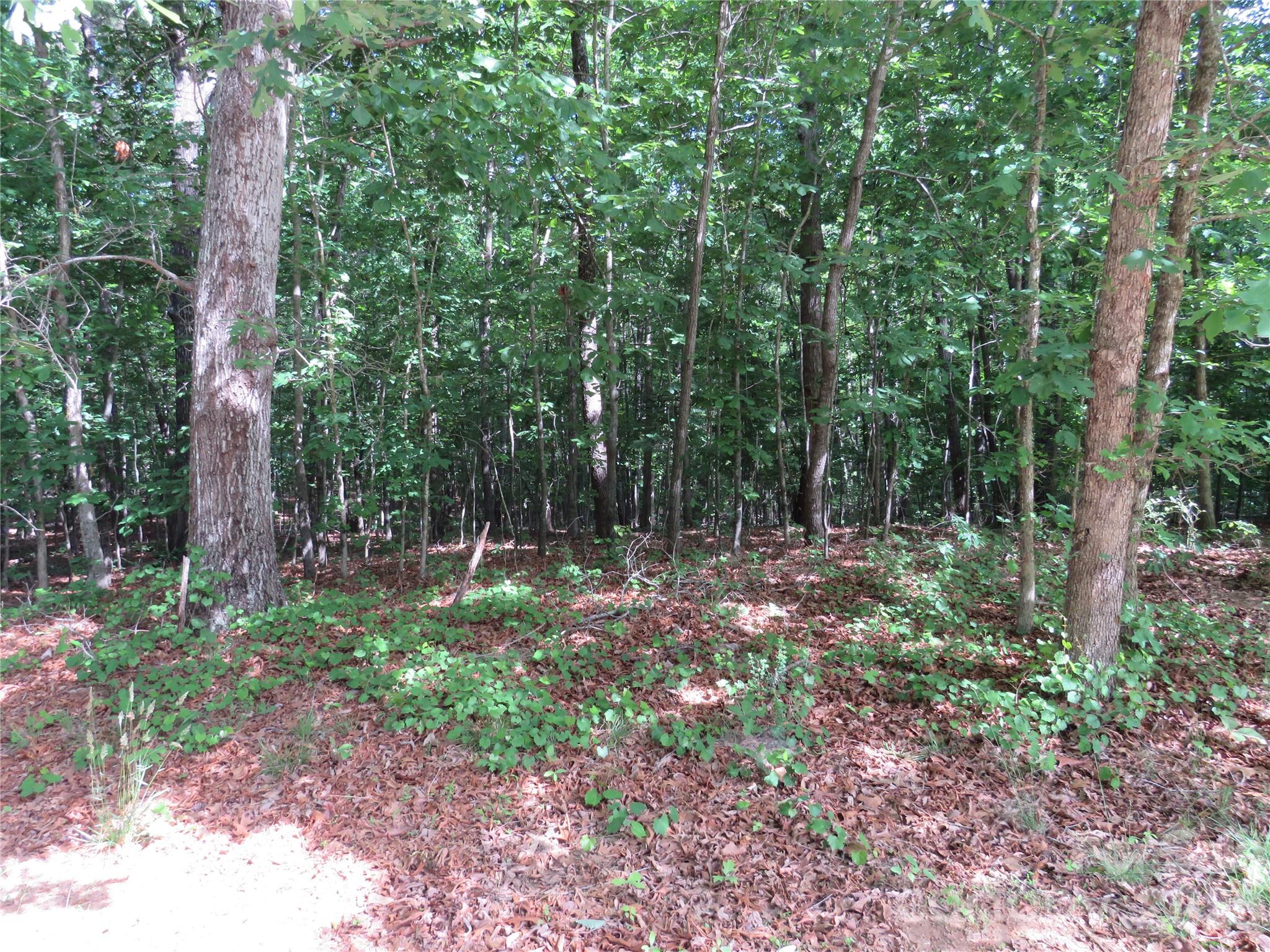 0 S Woodleaf Road Property Photo 16