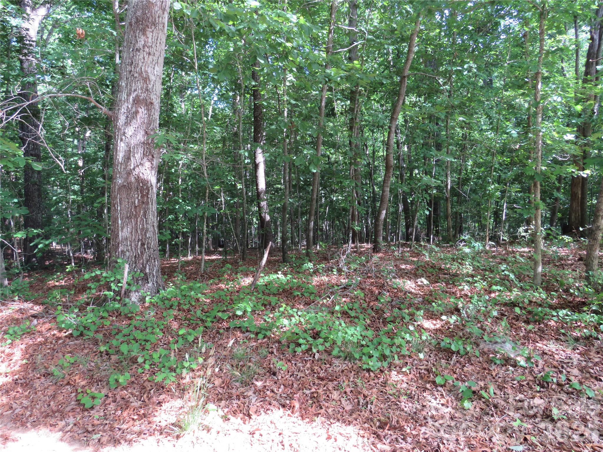 0 S Woodleaf Road Property Photo 17