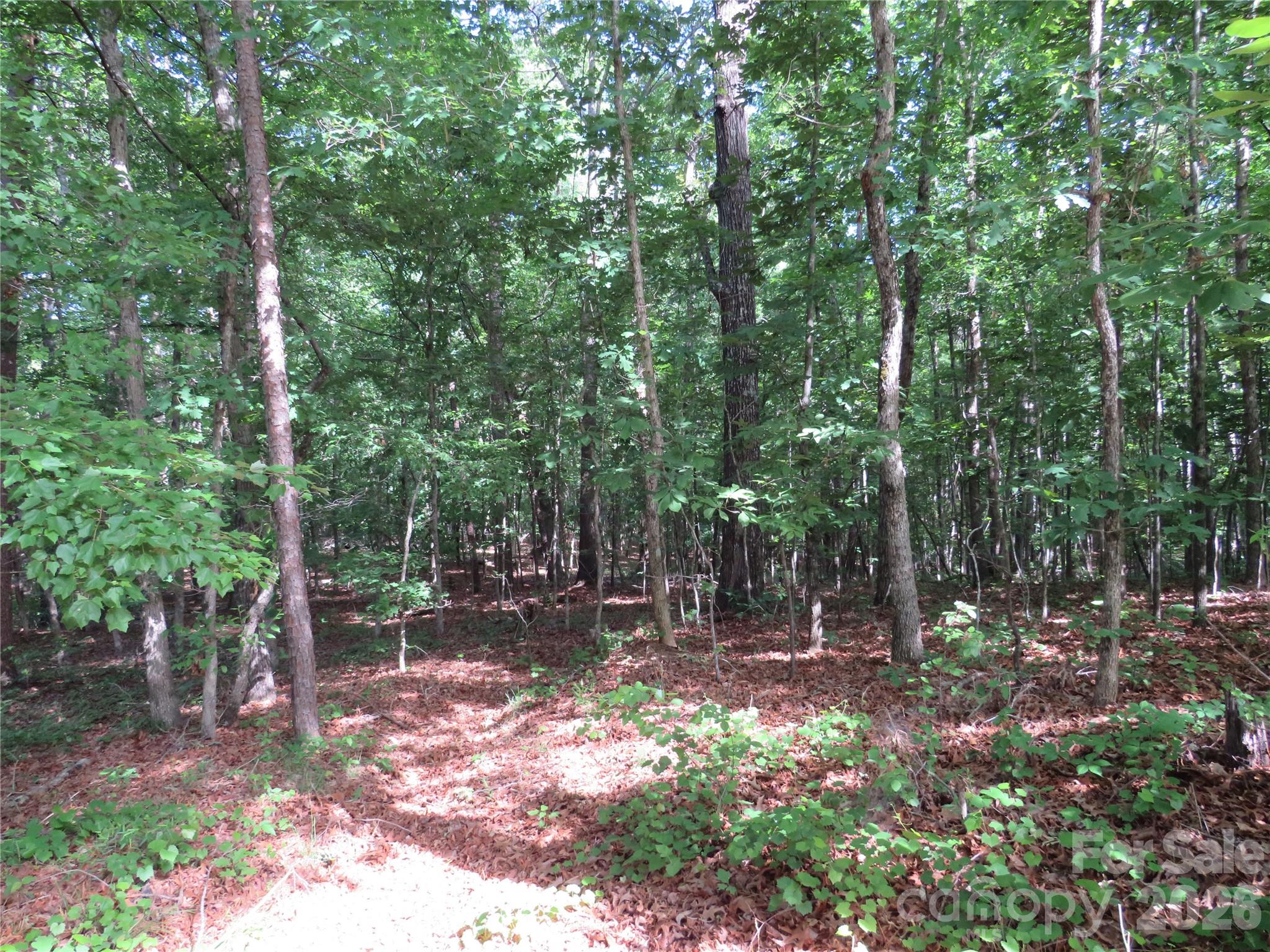 0 S Woodleaf Road Property Photo 18