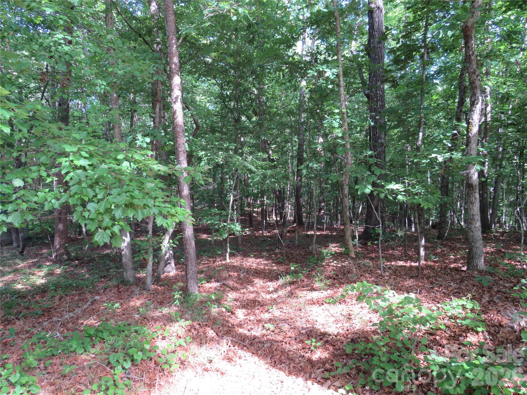 0 S Woodleaf Road Property Photo 19