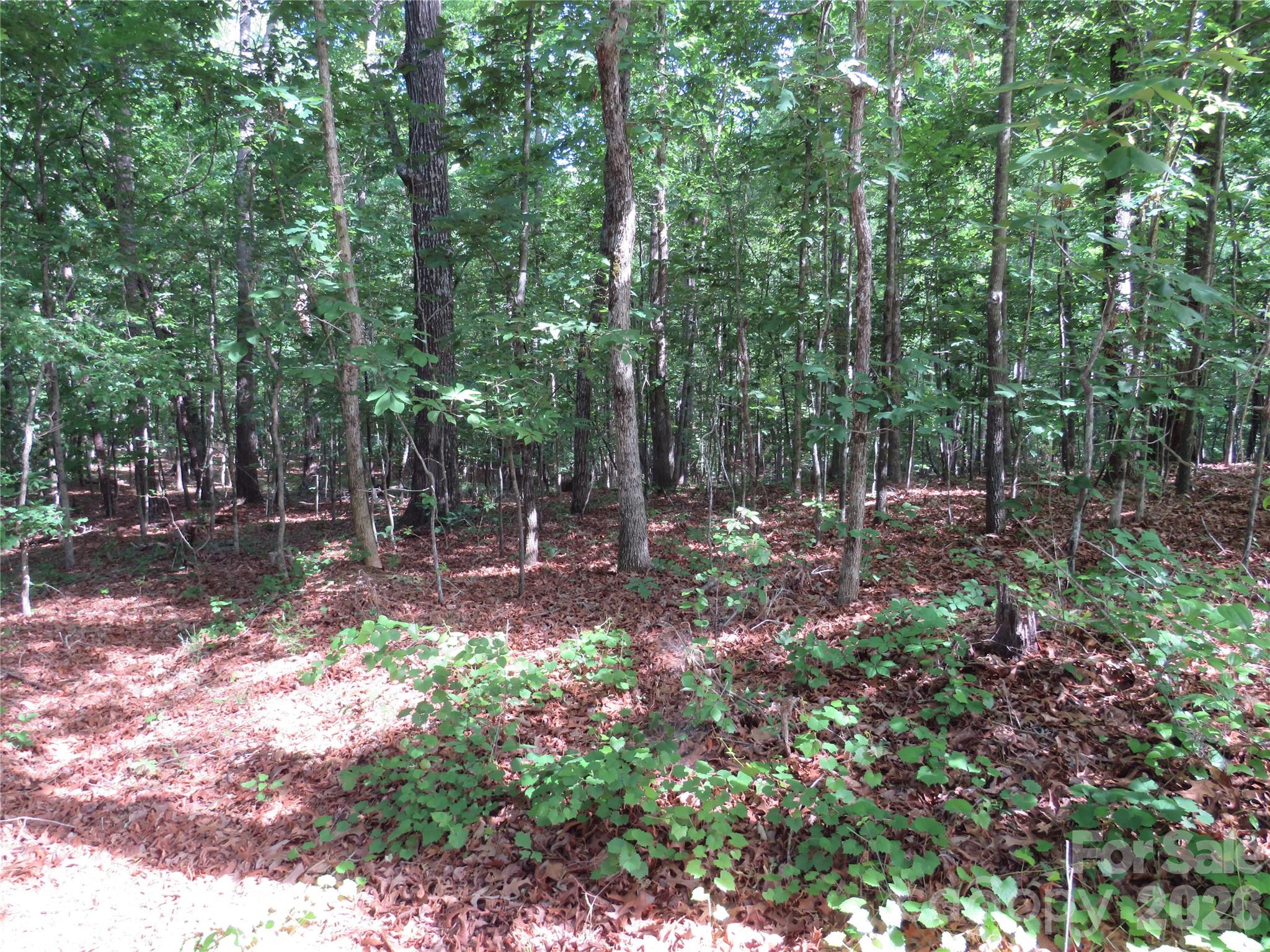 0 S Woodleaf Road Property Photo 20
