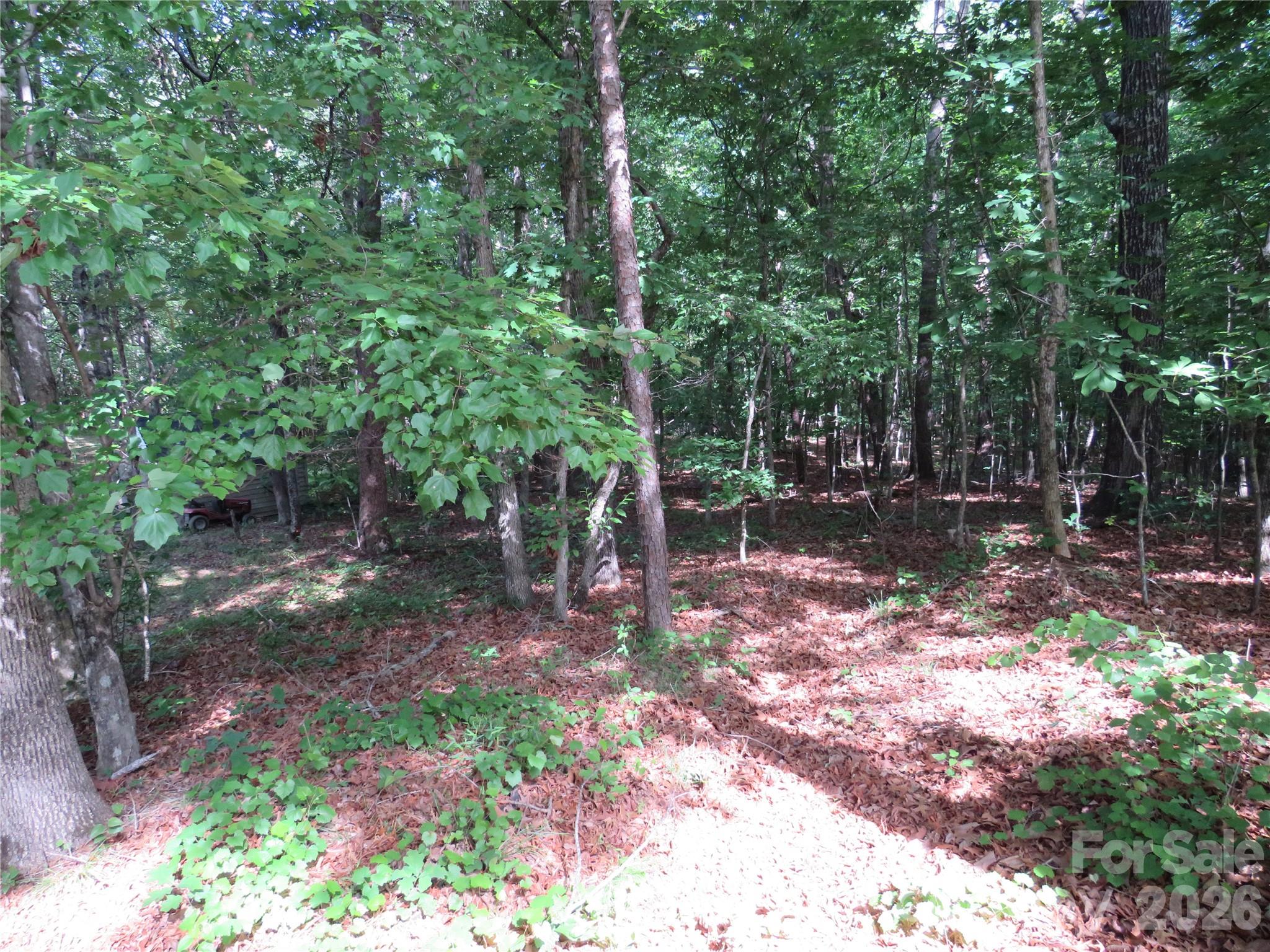0 S Woodleaf Road Property Photo 21