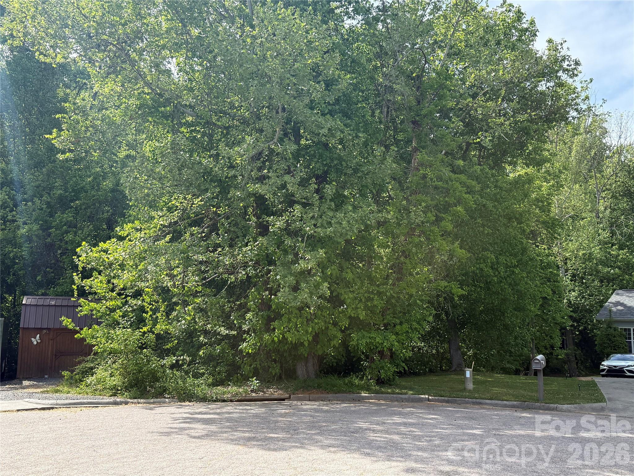 0 Azalea Lane Property Photo 3