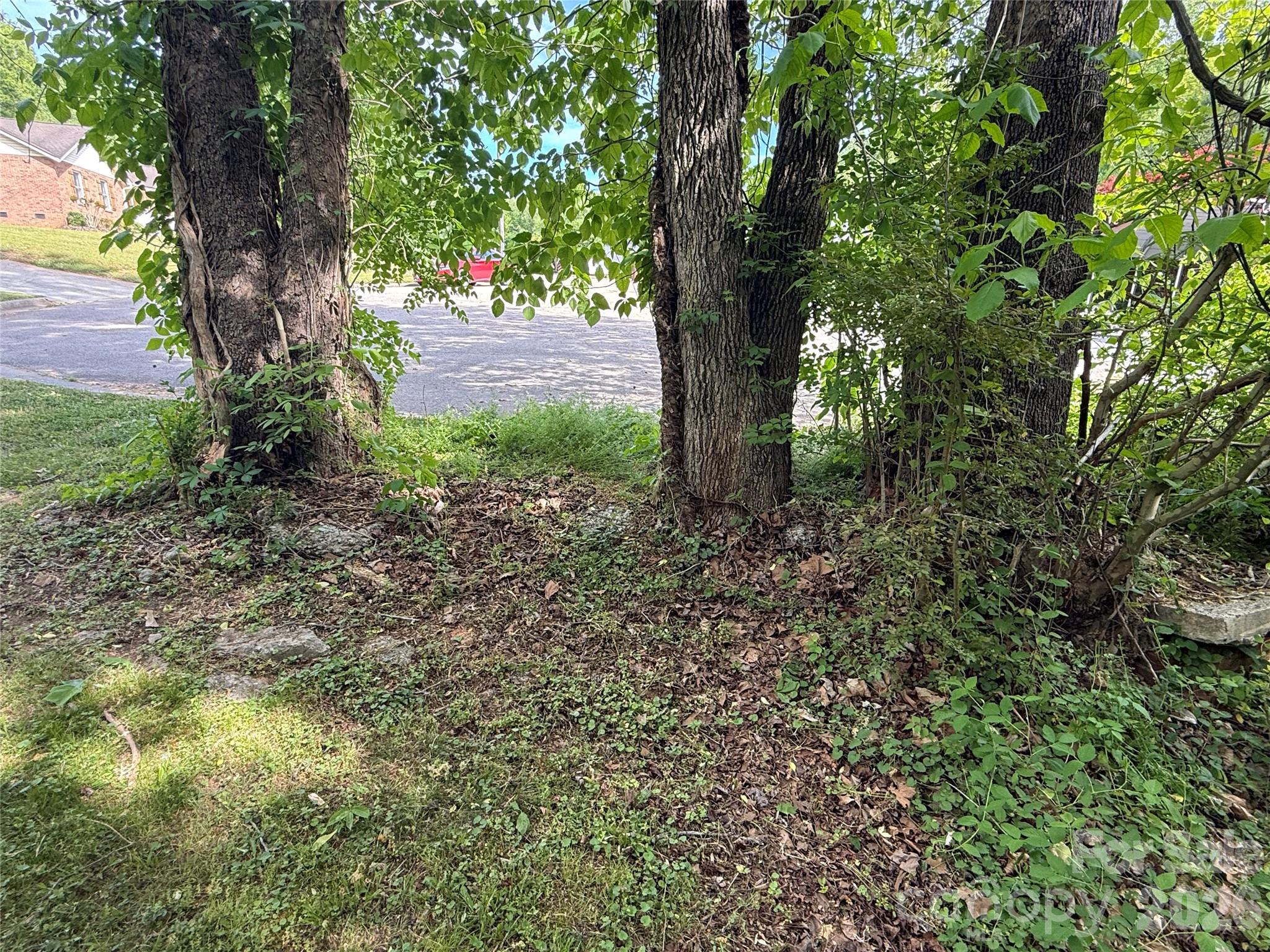 0 Azalea Lane Property Photo 4