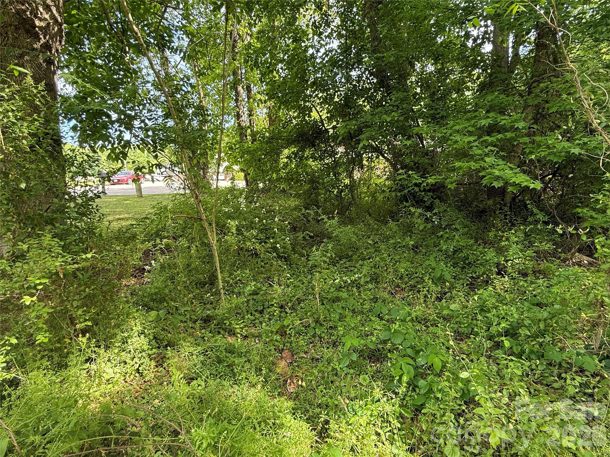 0 Azalea Lane Property Photo 6