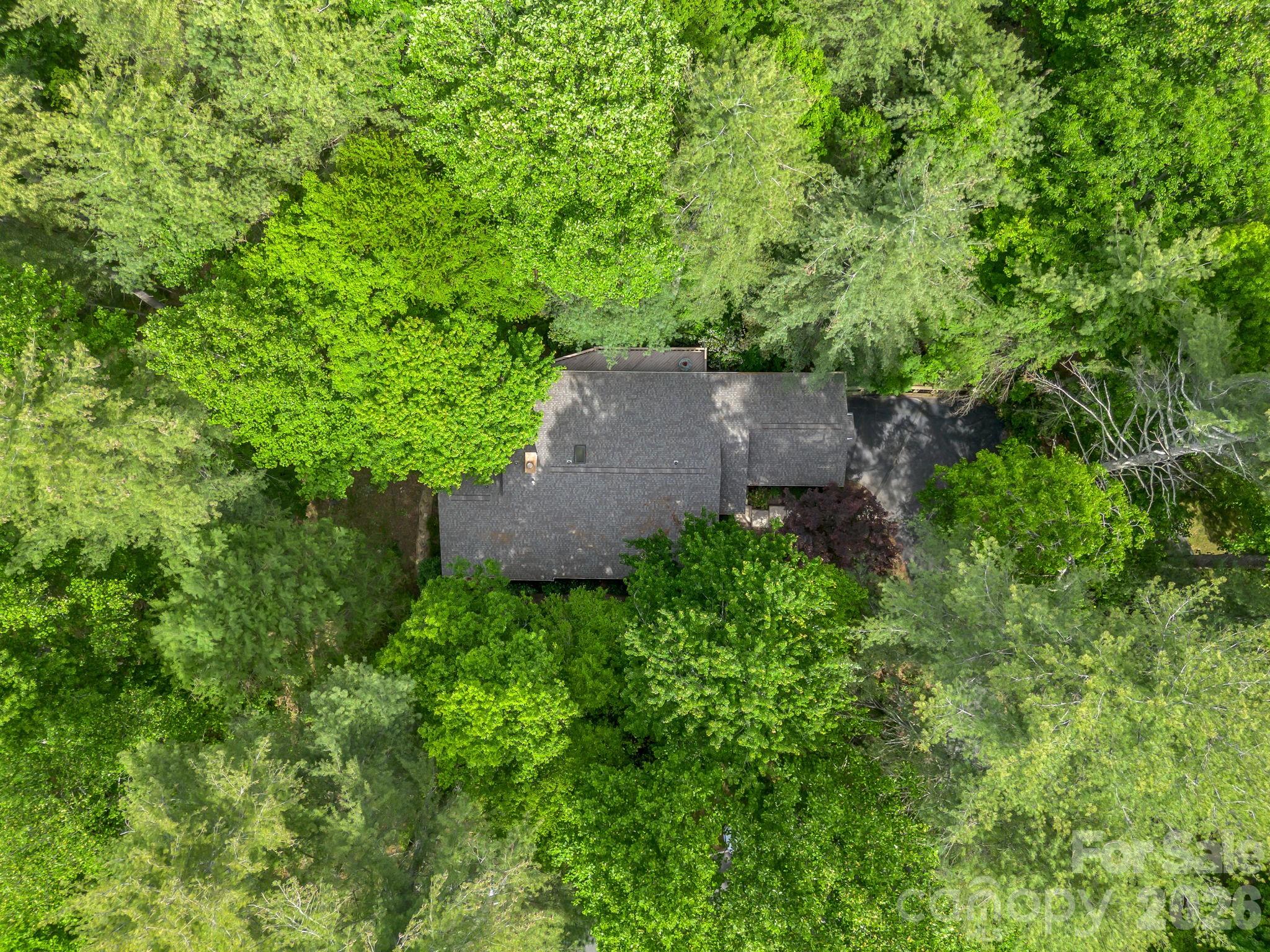 118 Timber Creek Road Property Photo 40