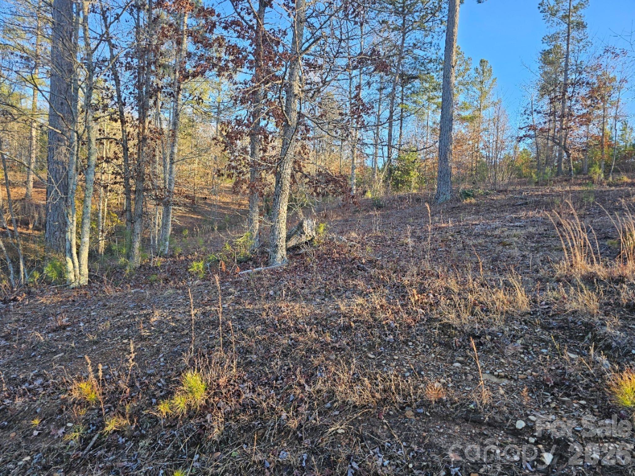 2167 Inlet Shore Road Property Photo 1