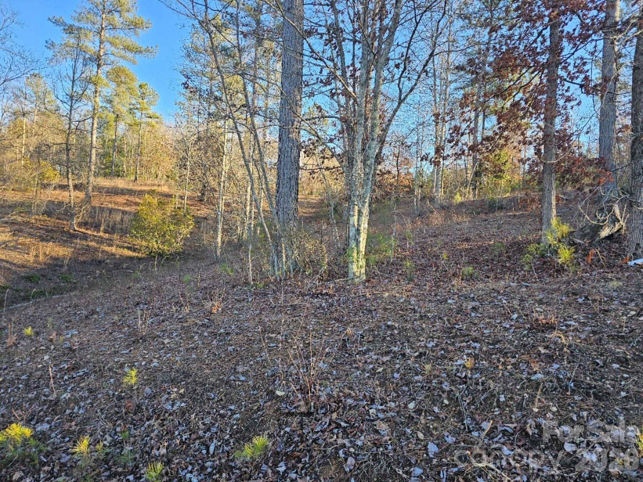 2167 Inlet Shore Road Property Photo 2