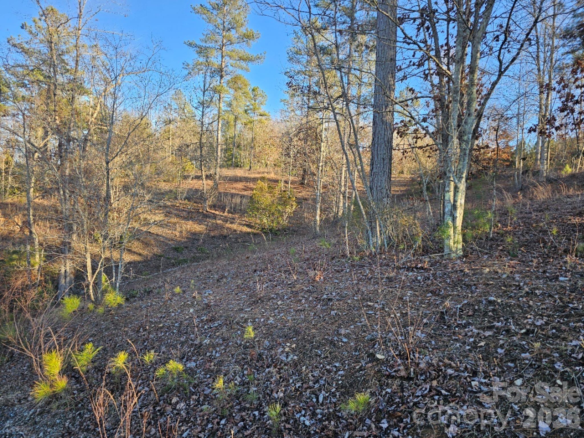 2167 Inlet Shore Road Property Photo 3