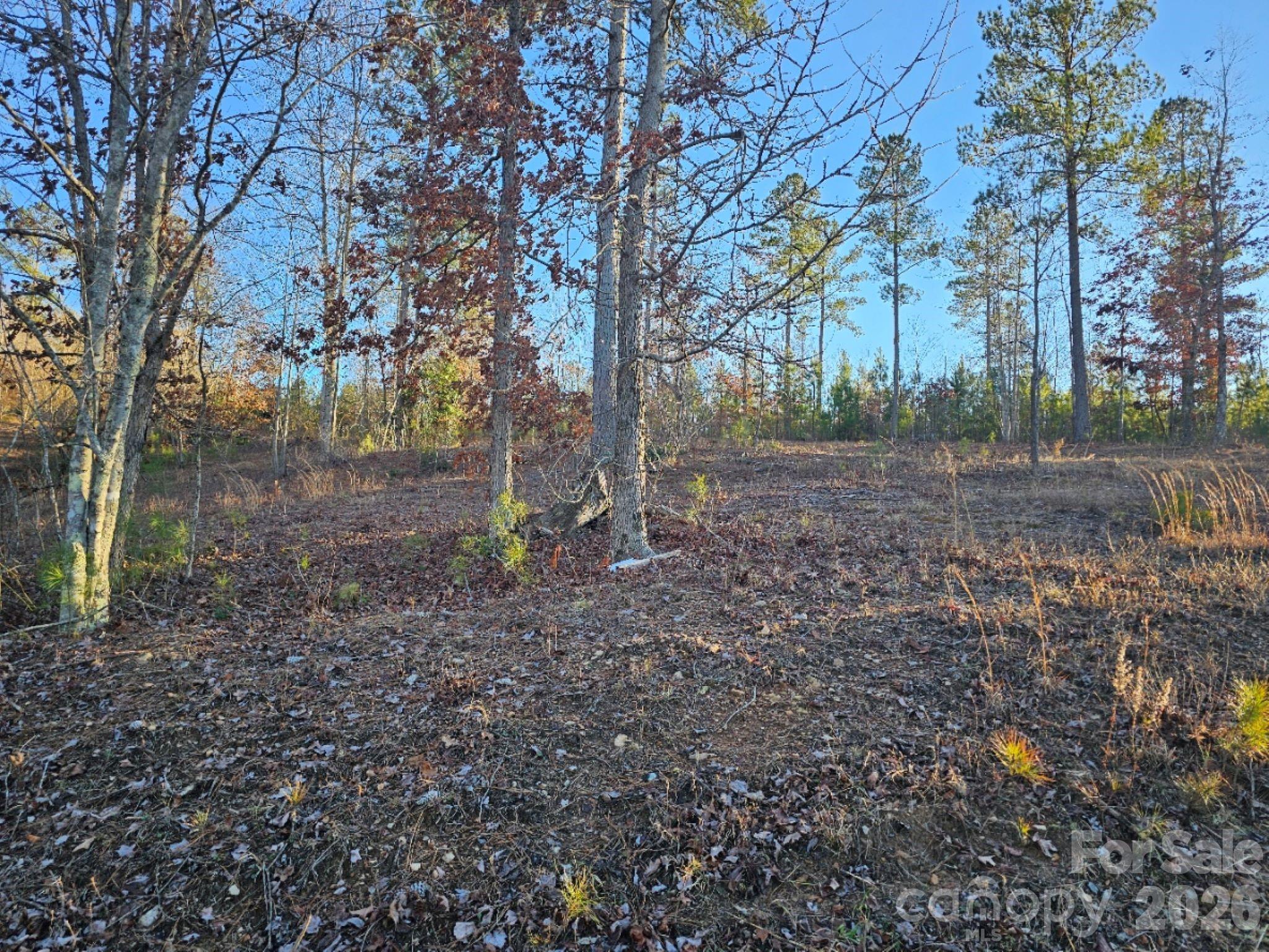 2167 Inlet Shore Road Property Photo 4