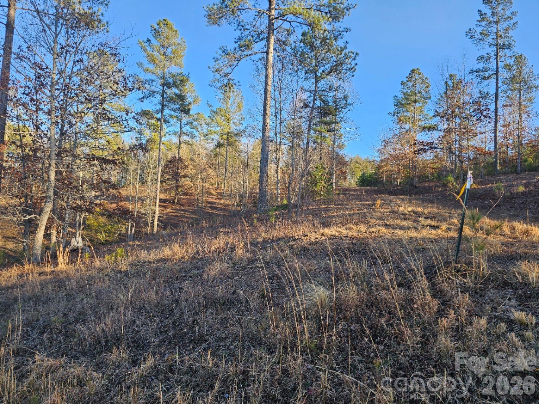 2167 Inlet Shore Road Property Photo 11