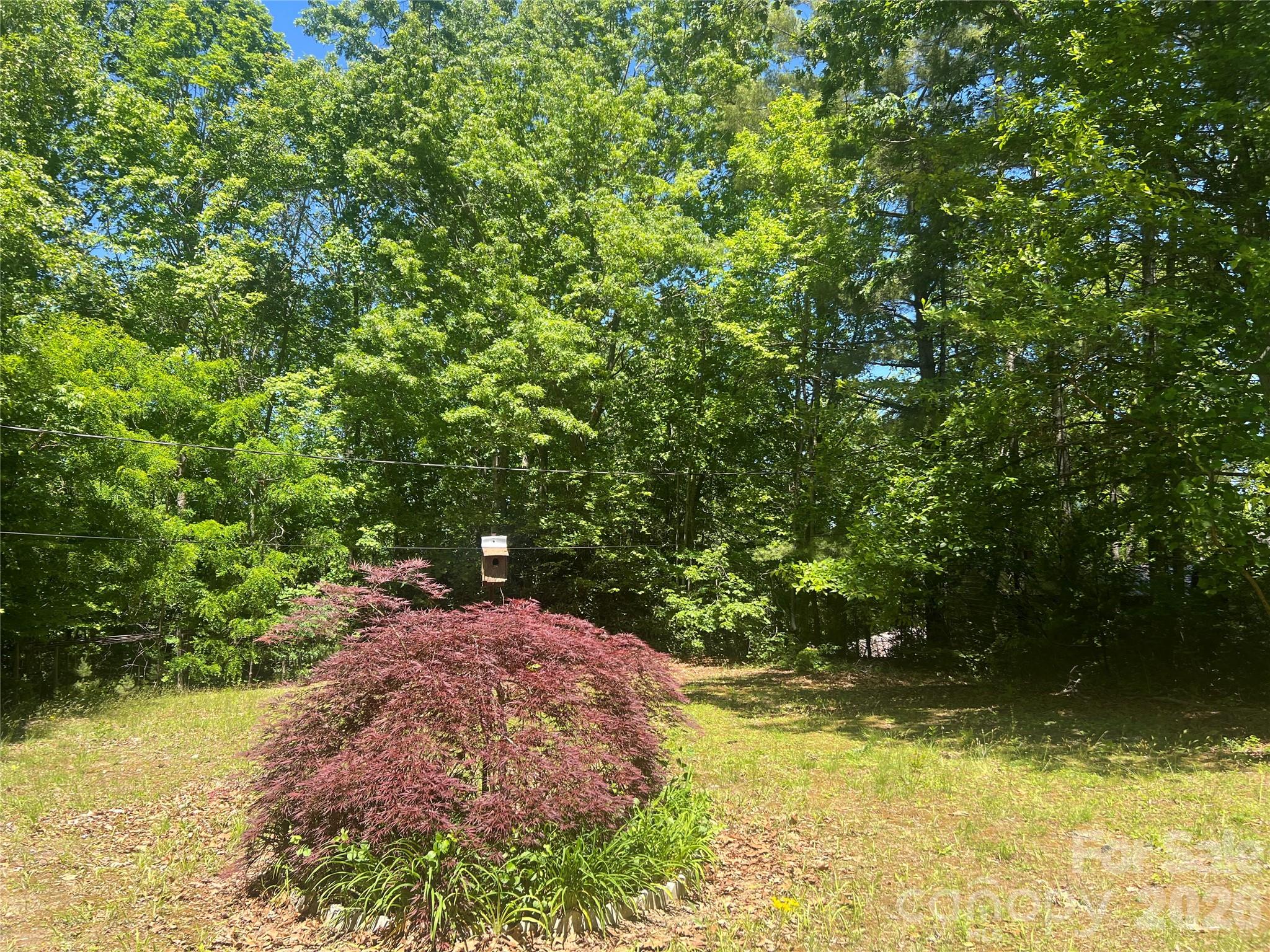 0 Mountain Laurel Lane Property Photo 2