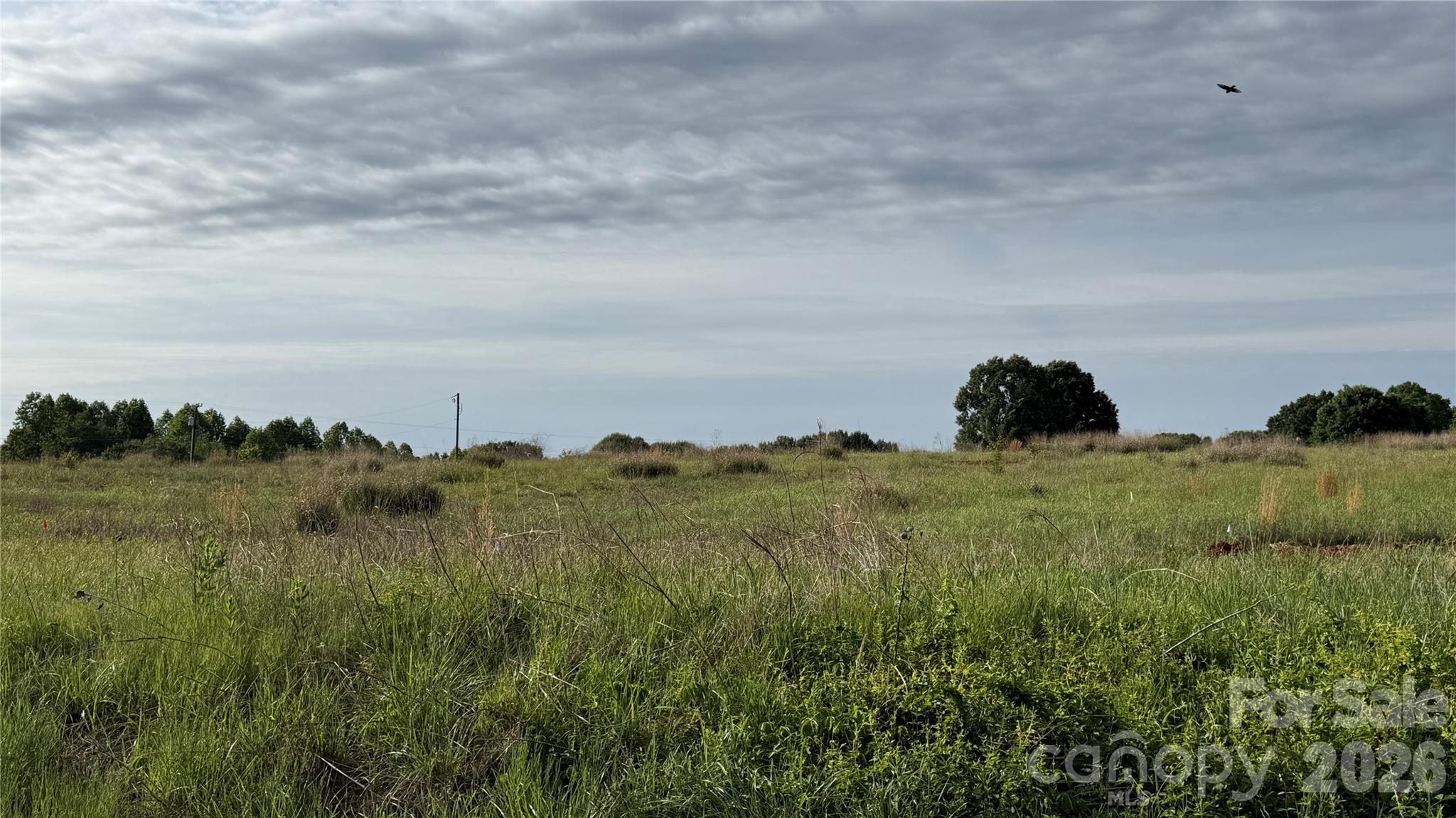 Tbd Nc 10 Highway 1 Property Photo 1